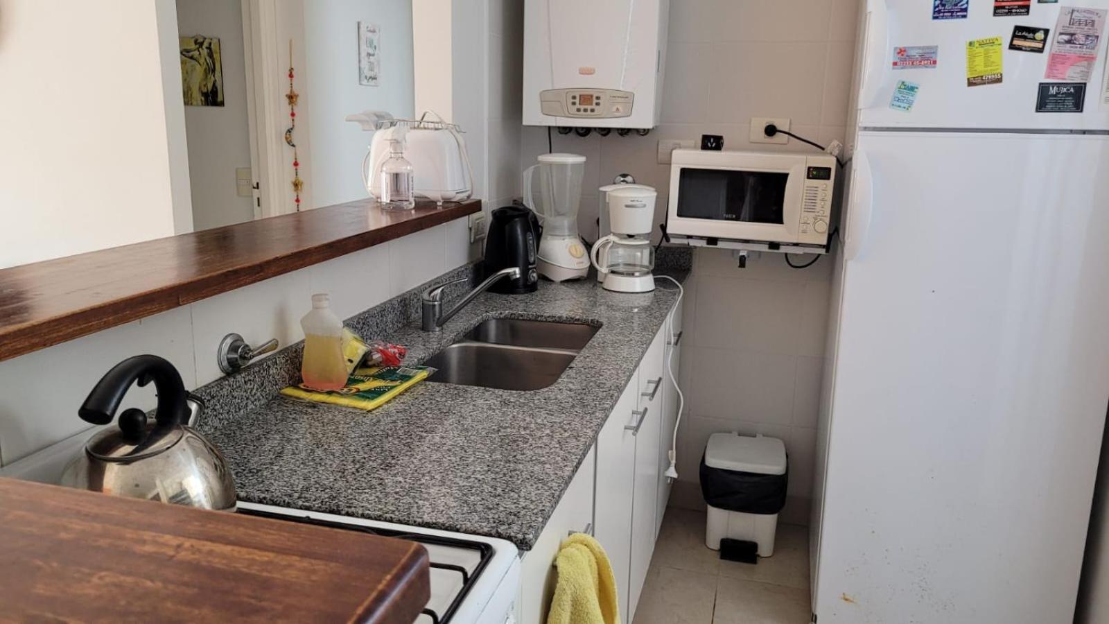 Departamento Las Gaviotas