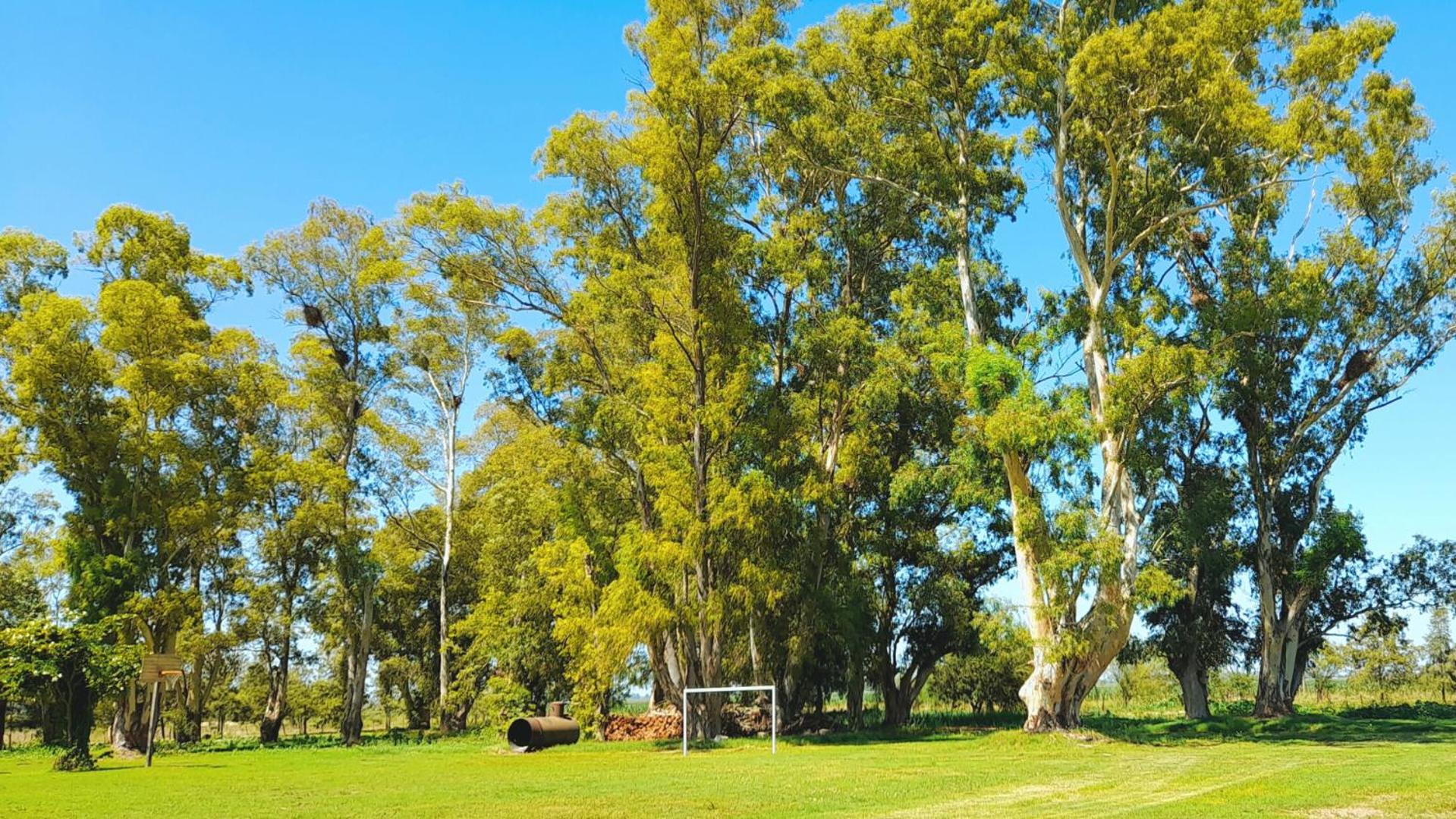 Casa de campo en Zapiola , Lobos, Buenos Aires.