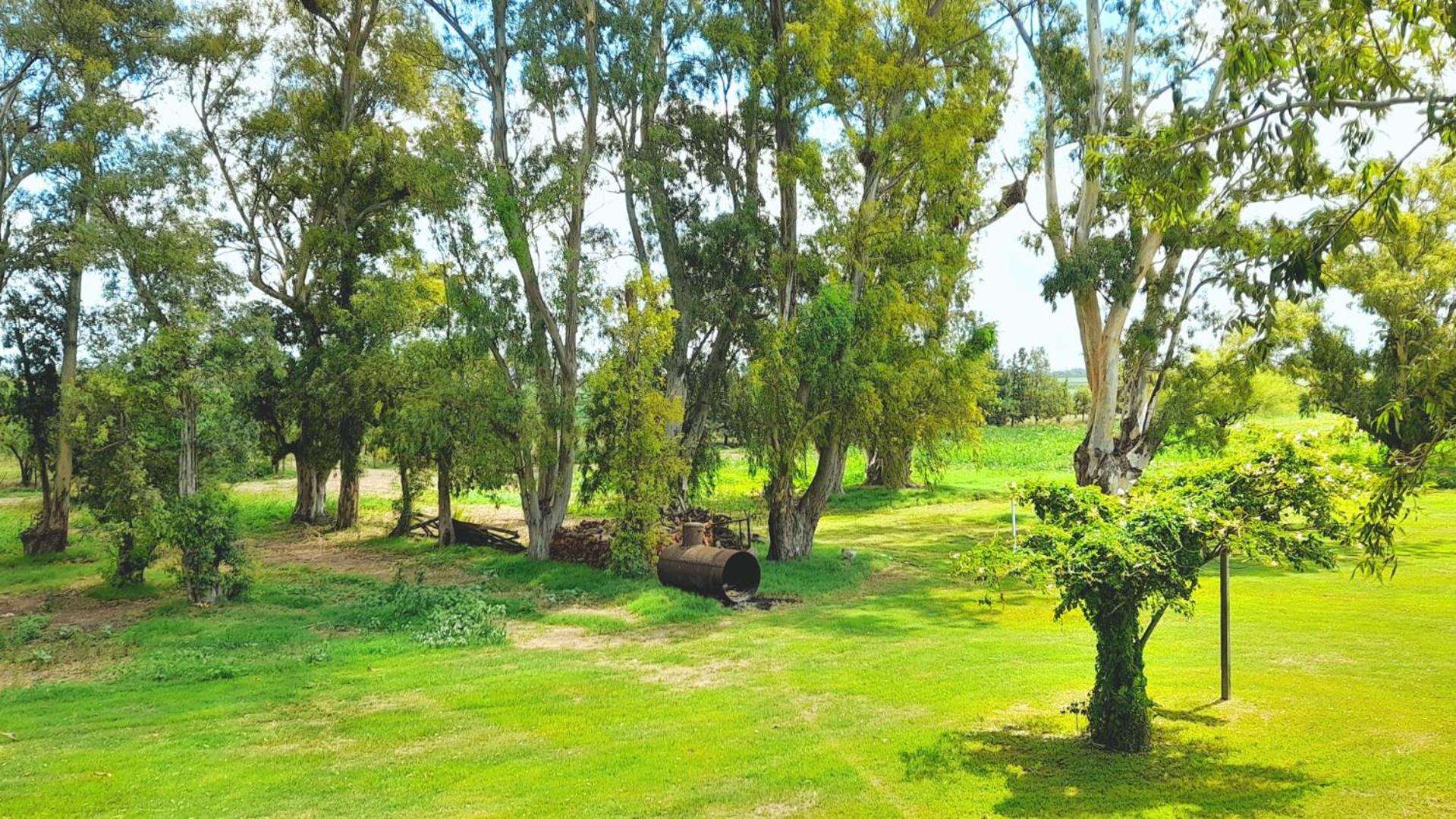 Casa de campo en Zapiola , Lobos, Buenos Aires.