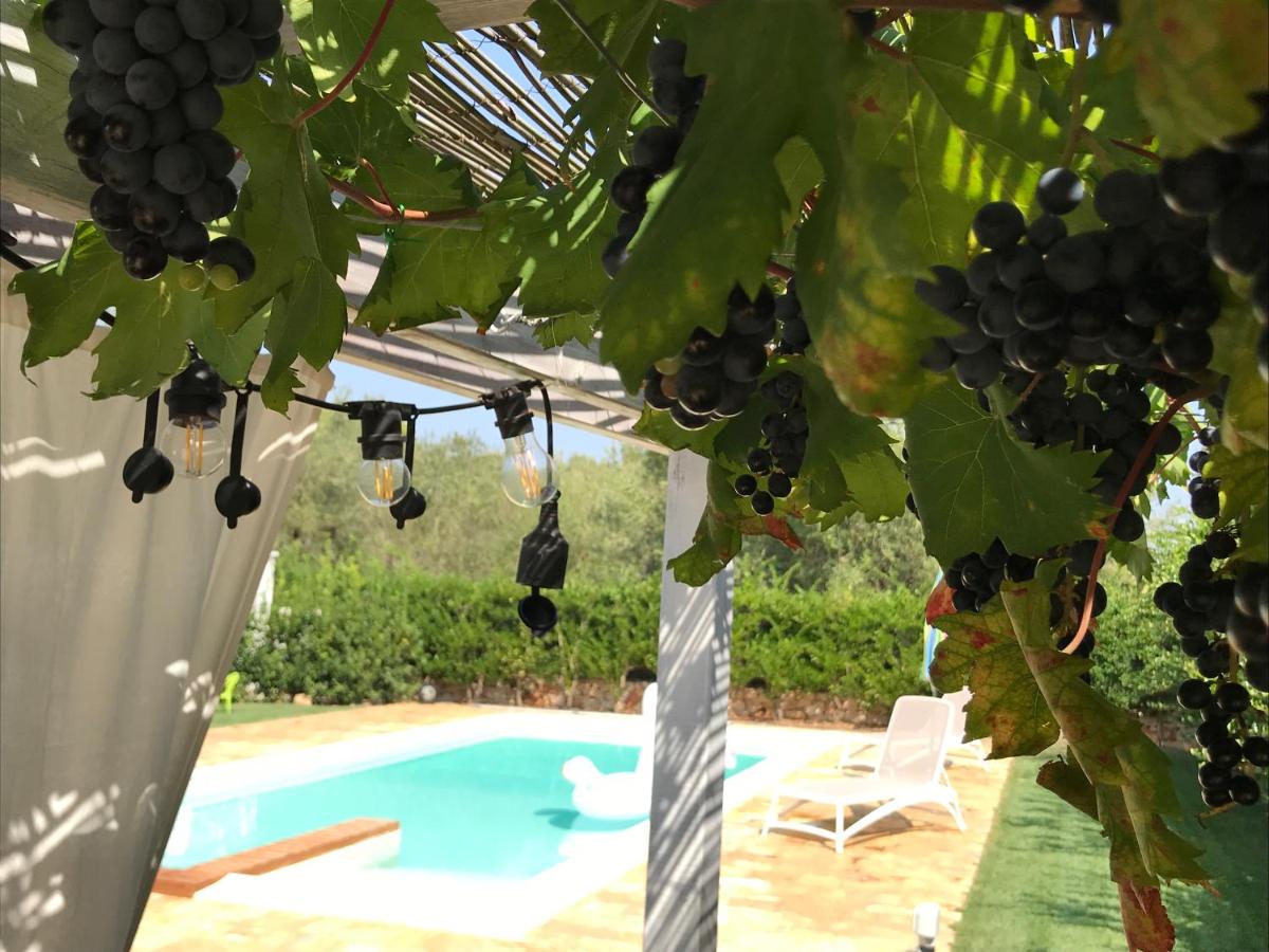 TRULLO CHEFMARCO PRIVATE/SALTWATER SWIMMING POOL
