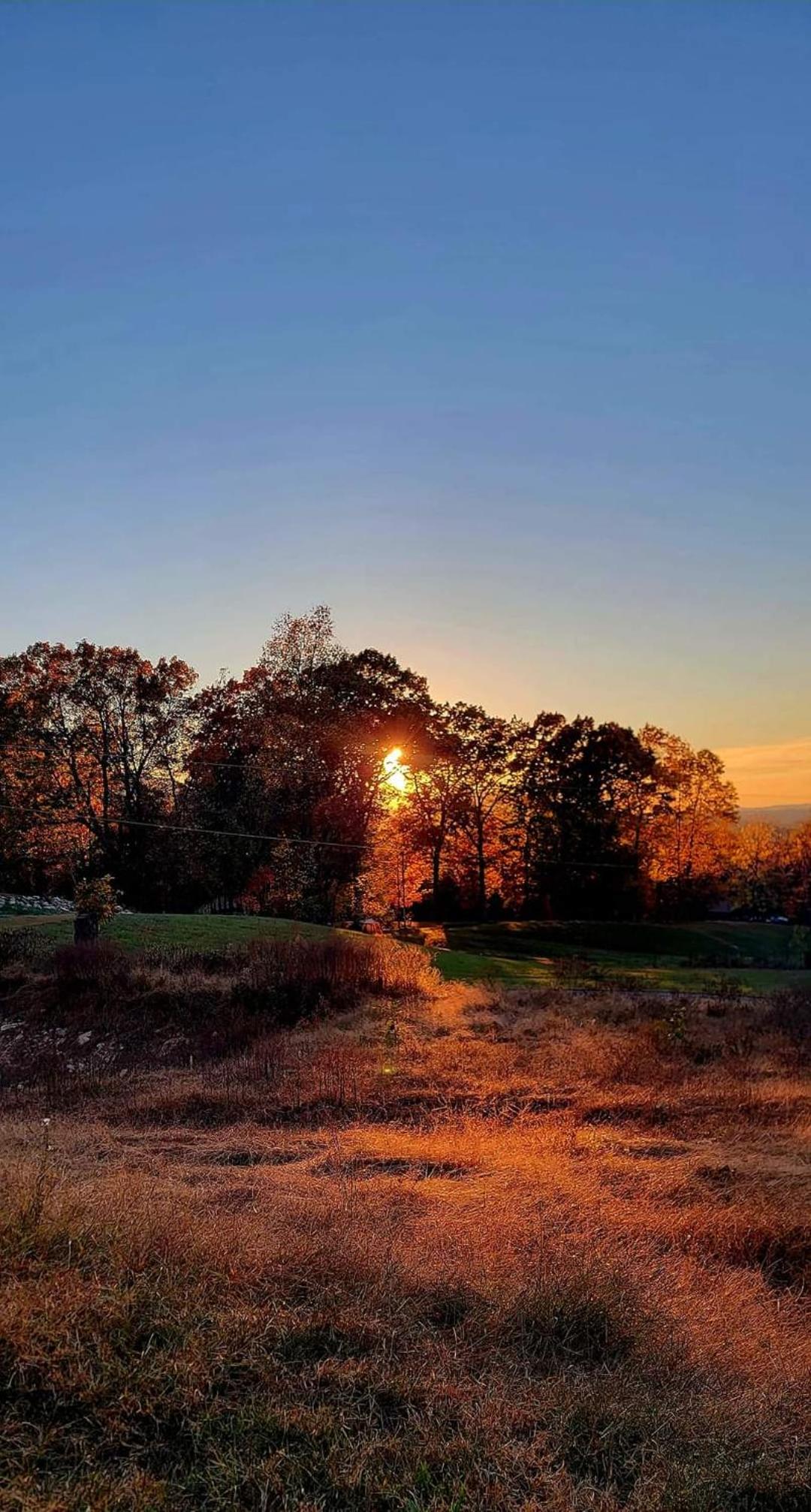 Chasing Views Tiny House view 3