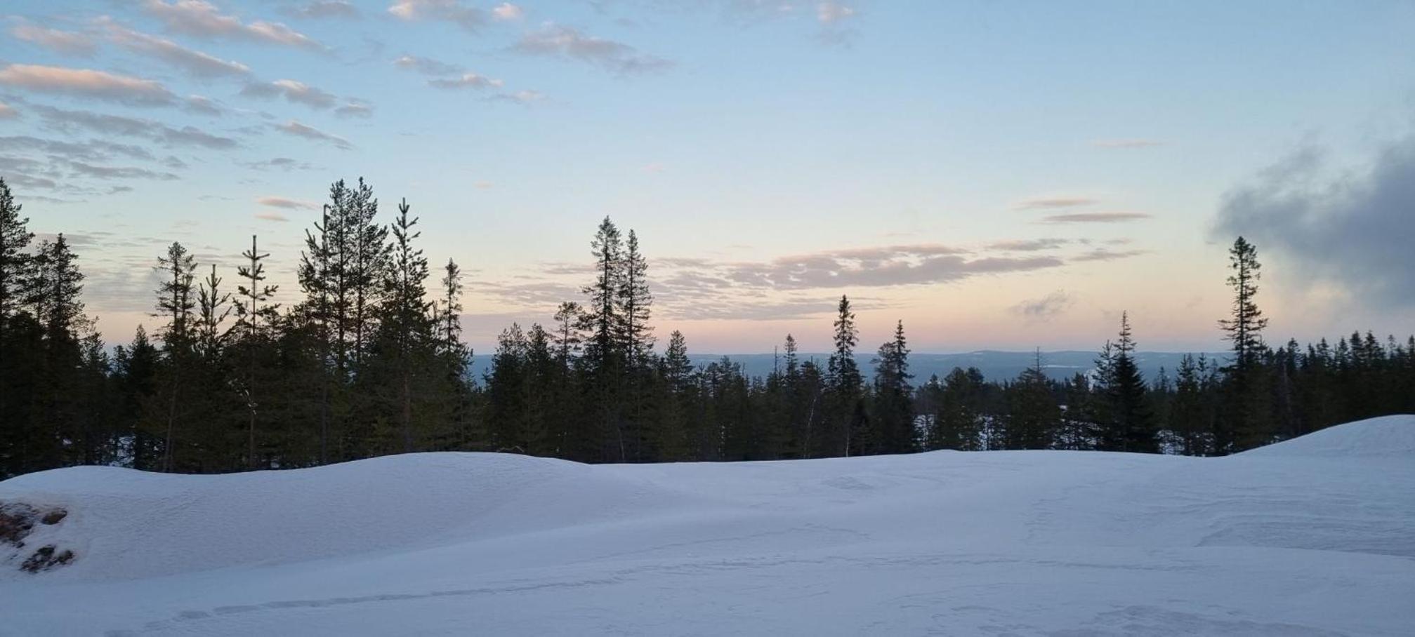 Fjällstugan