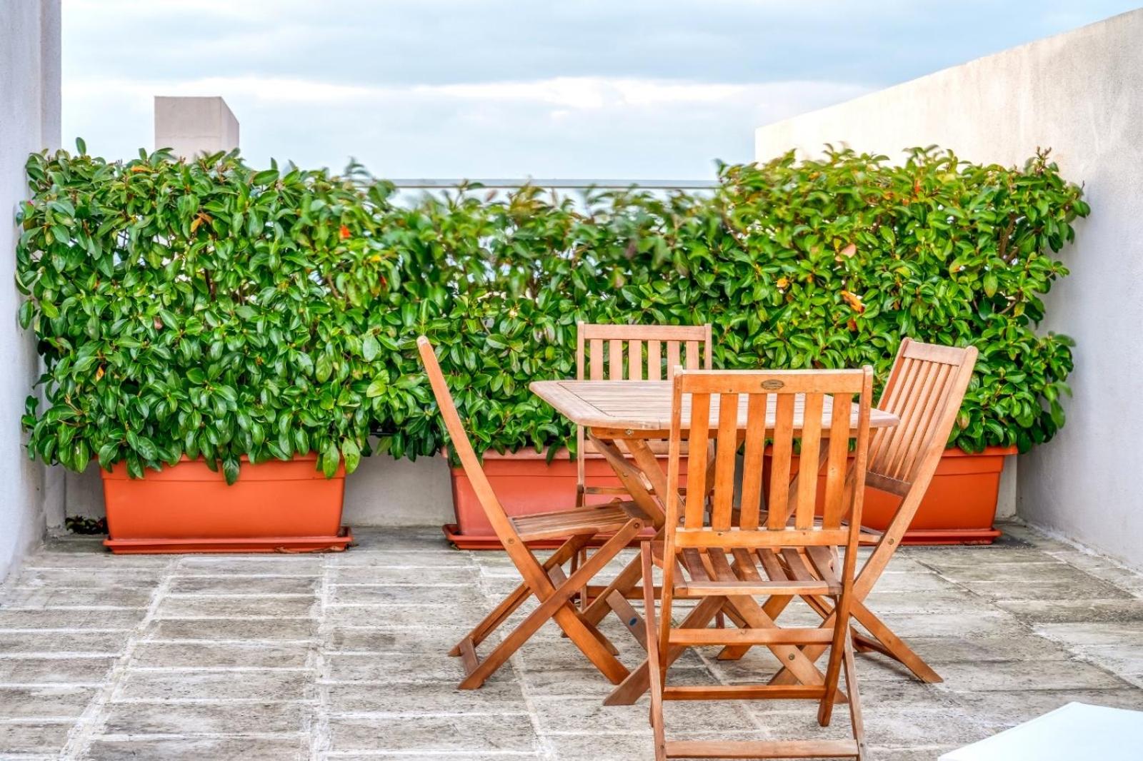 balance & terrace