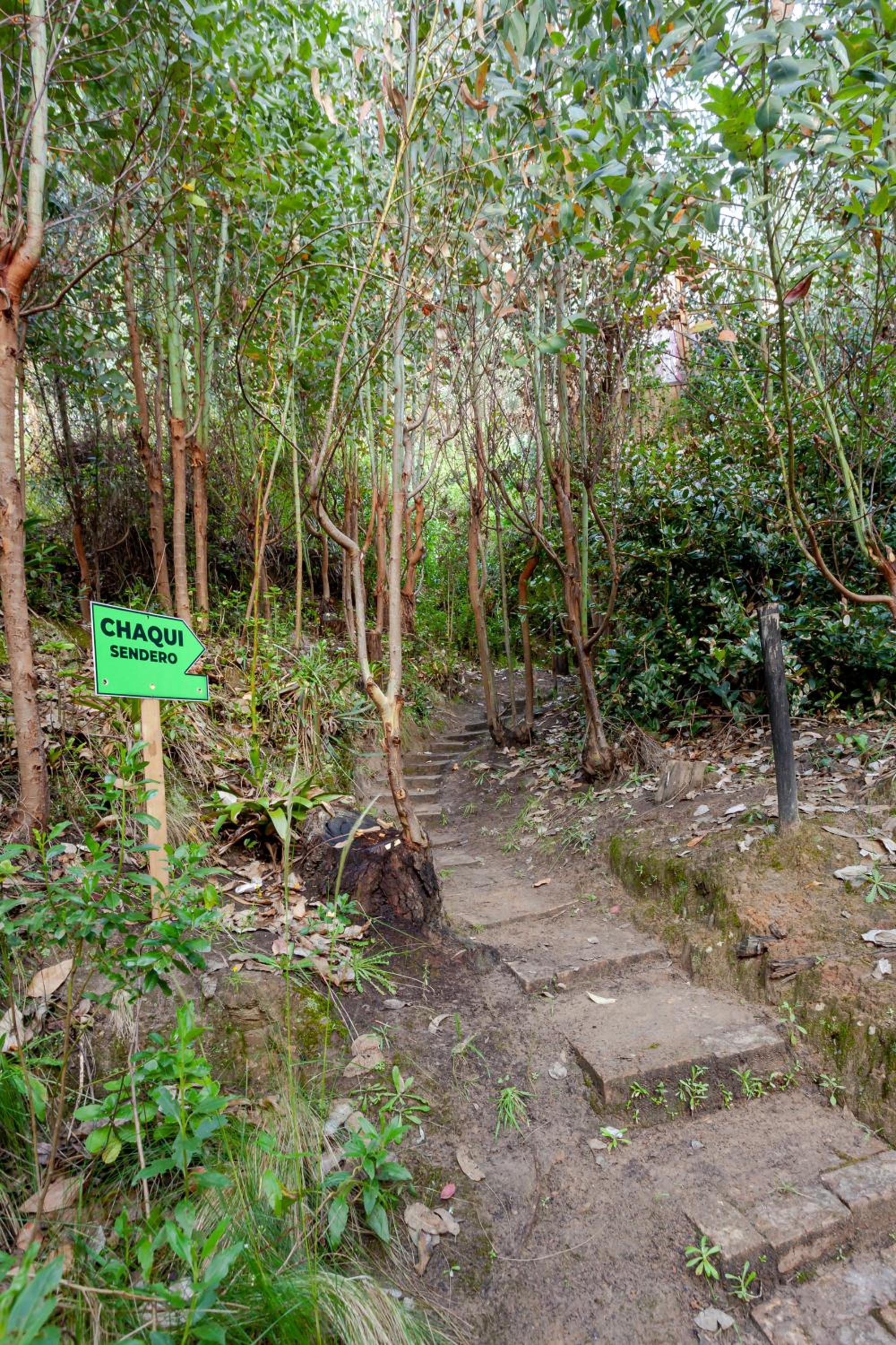 NUEVO ! Cabañas en medio de la naturaleza cerca Club Nautico