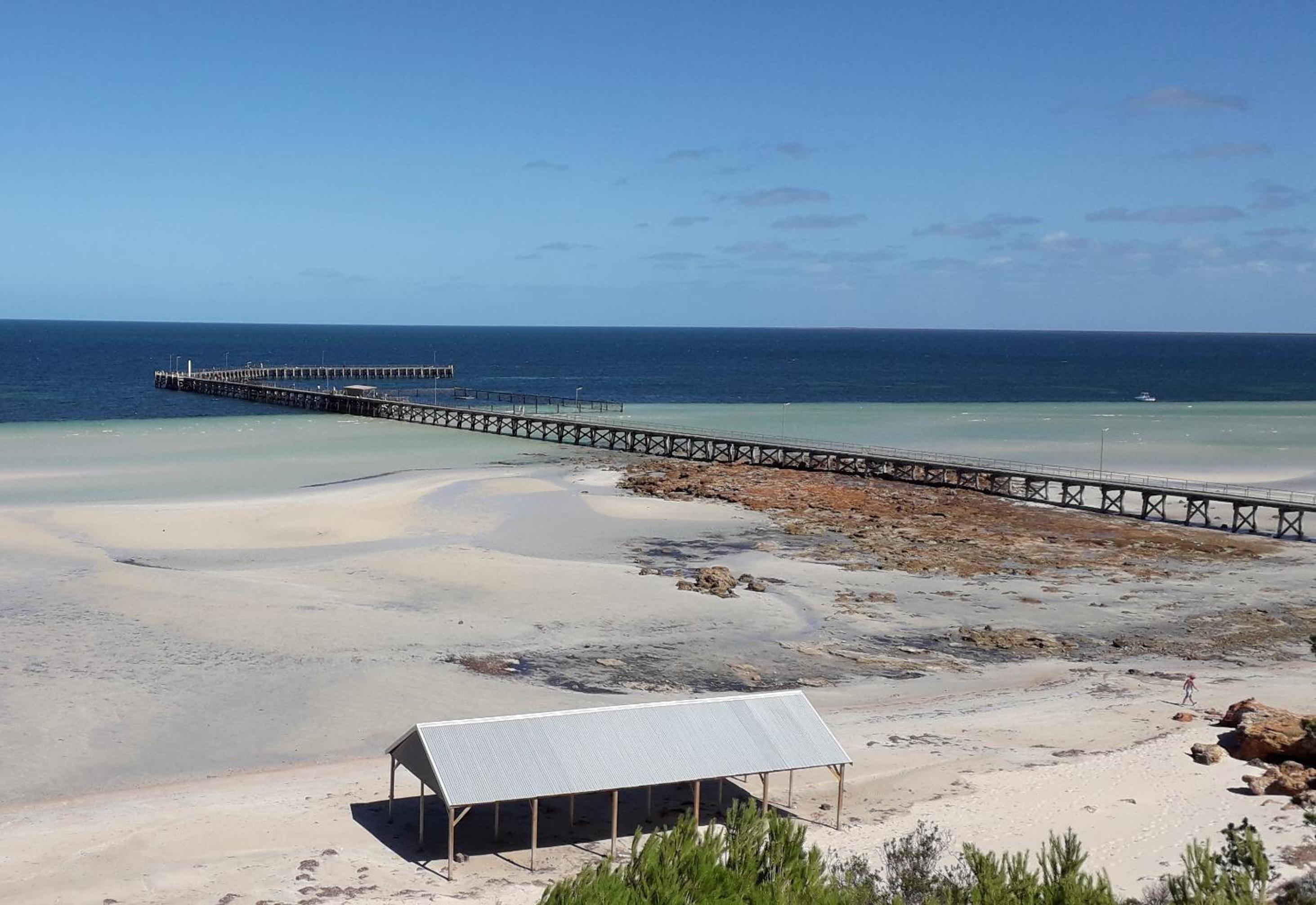 The Coastal Crab, Moonta Bay