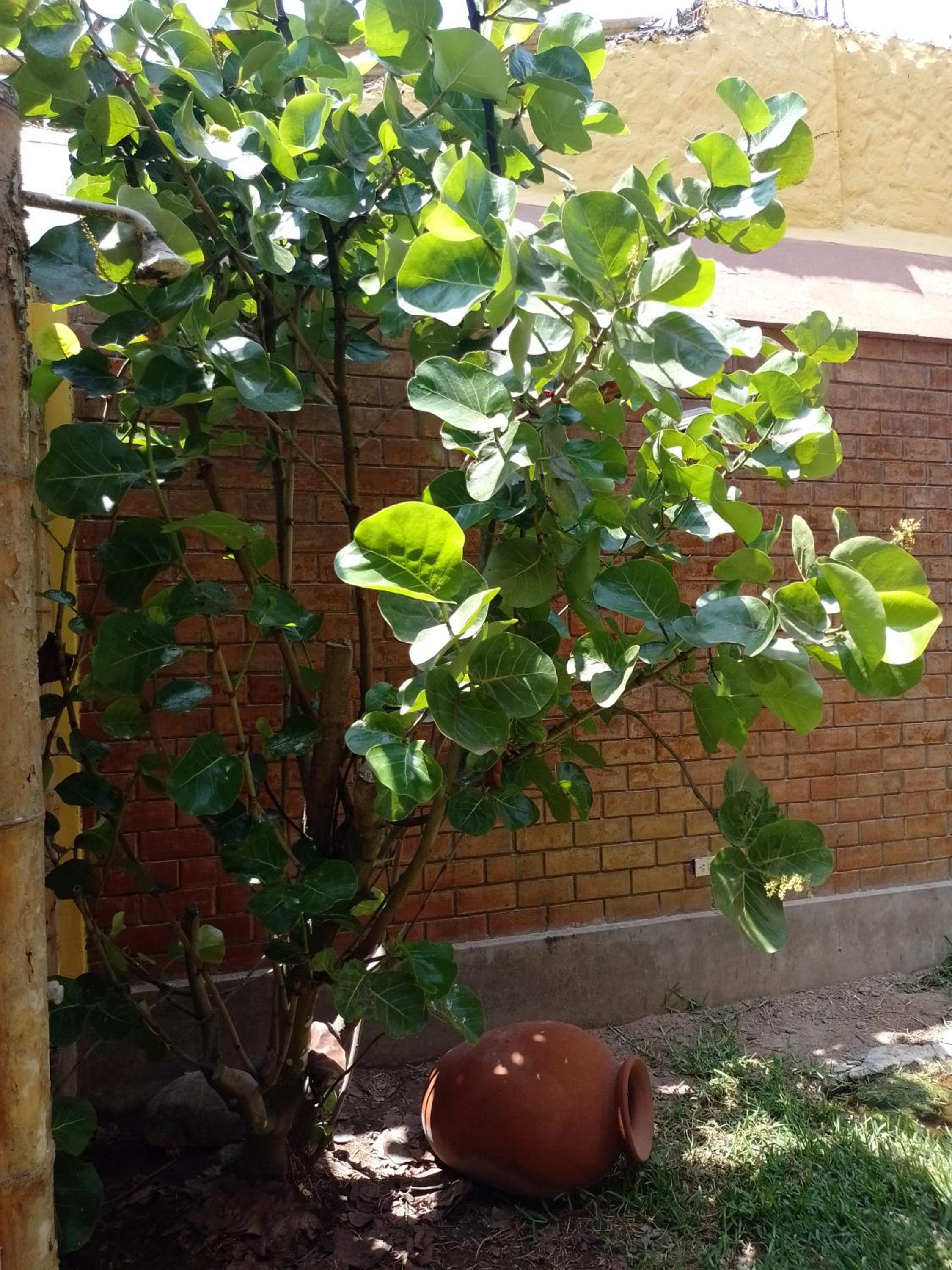 Photo 27