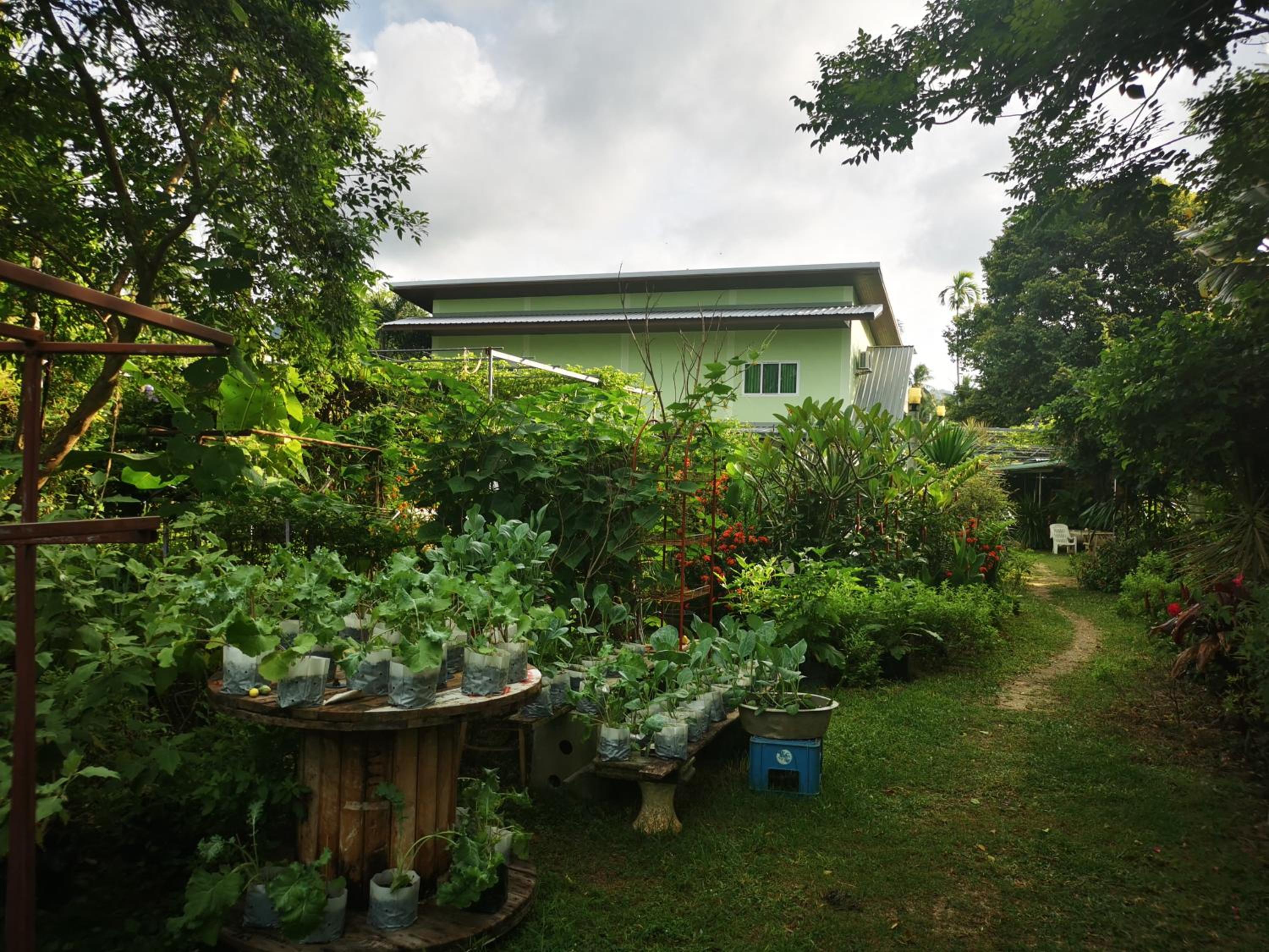 Subsavet Village