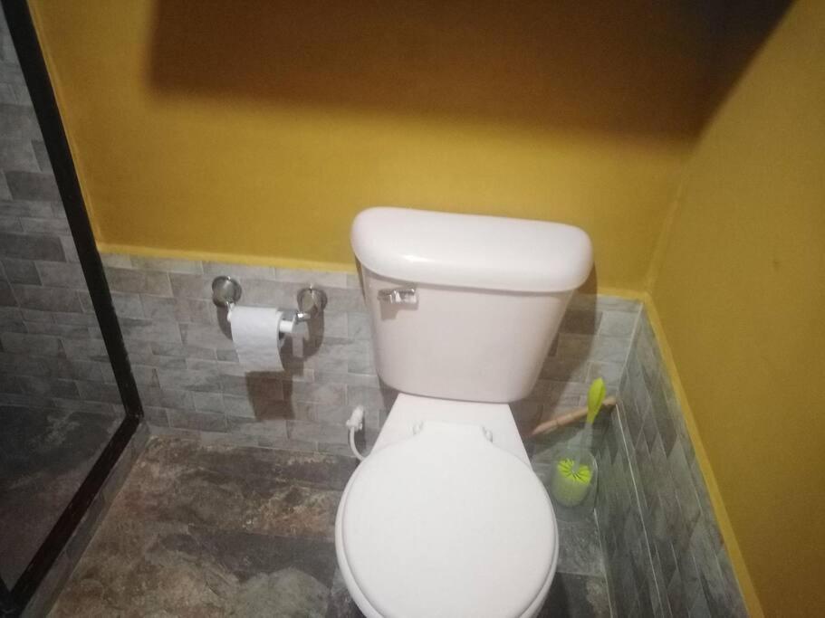 Cómodos apartamentos amoblados