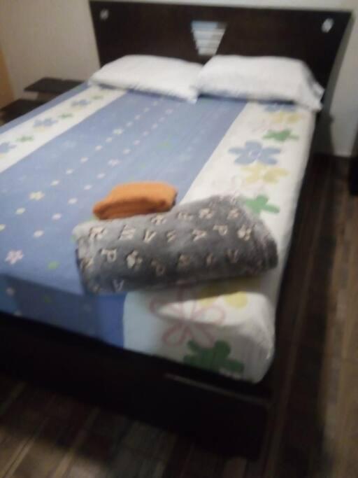 Cómodos apartamentos amoblados