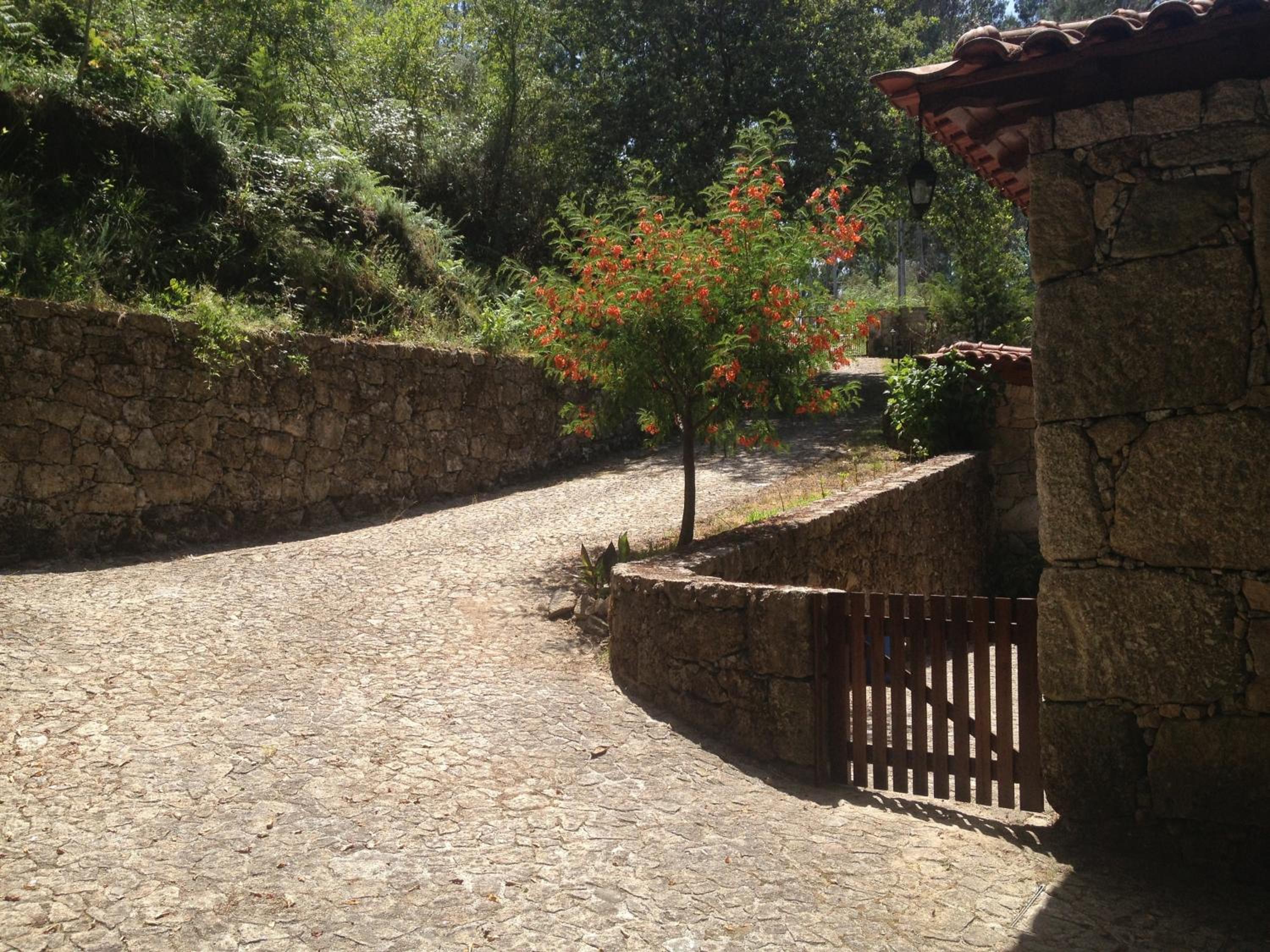 Photo 43
