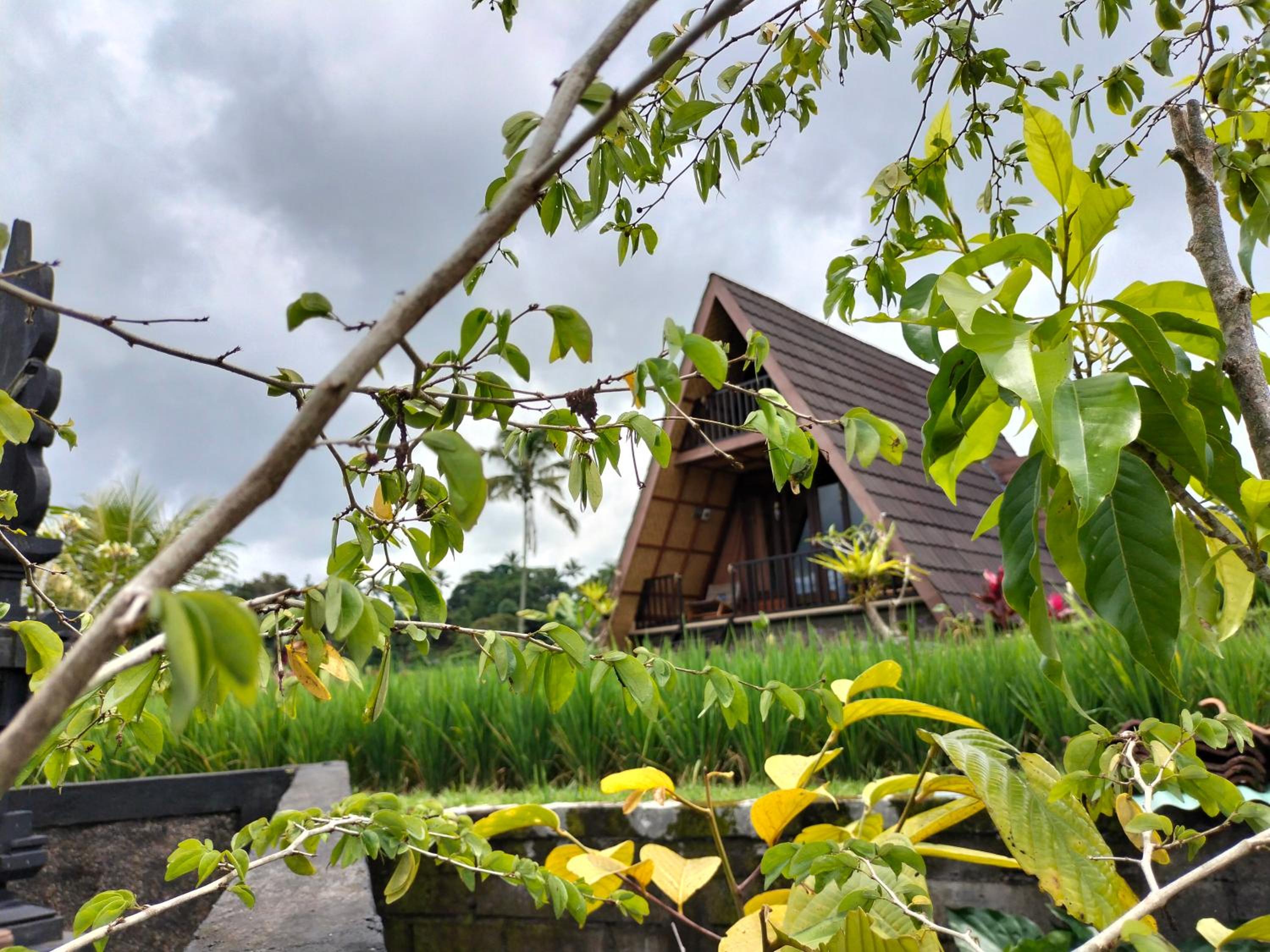 Magical Breeze Cabin