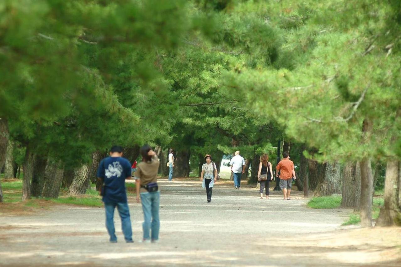 Monjusou, photo 91