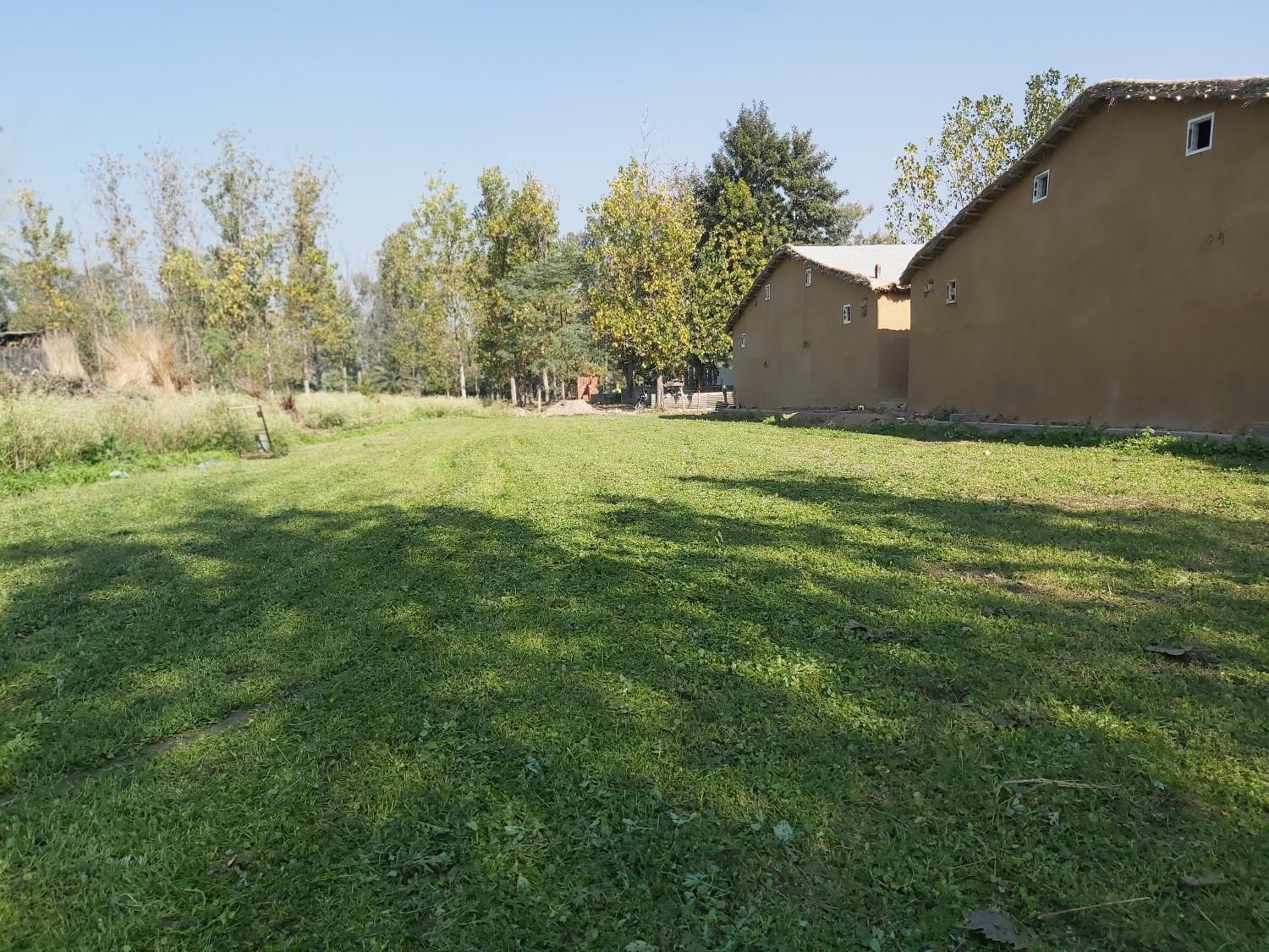 Photo 21