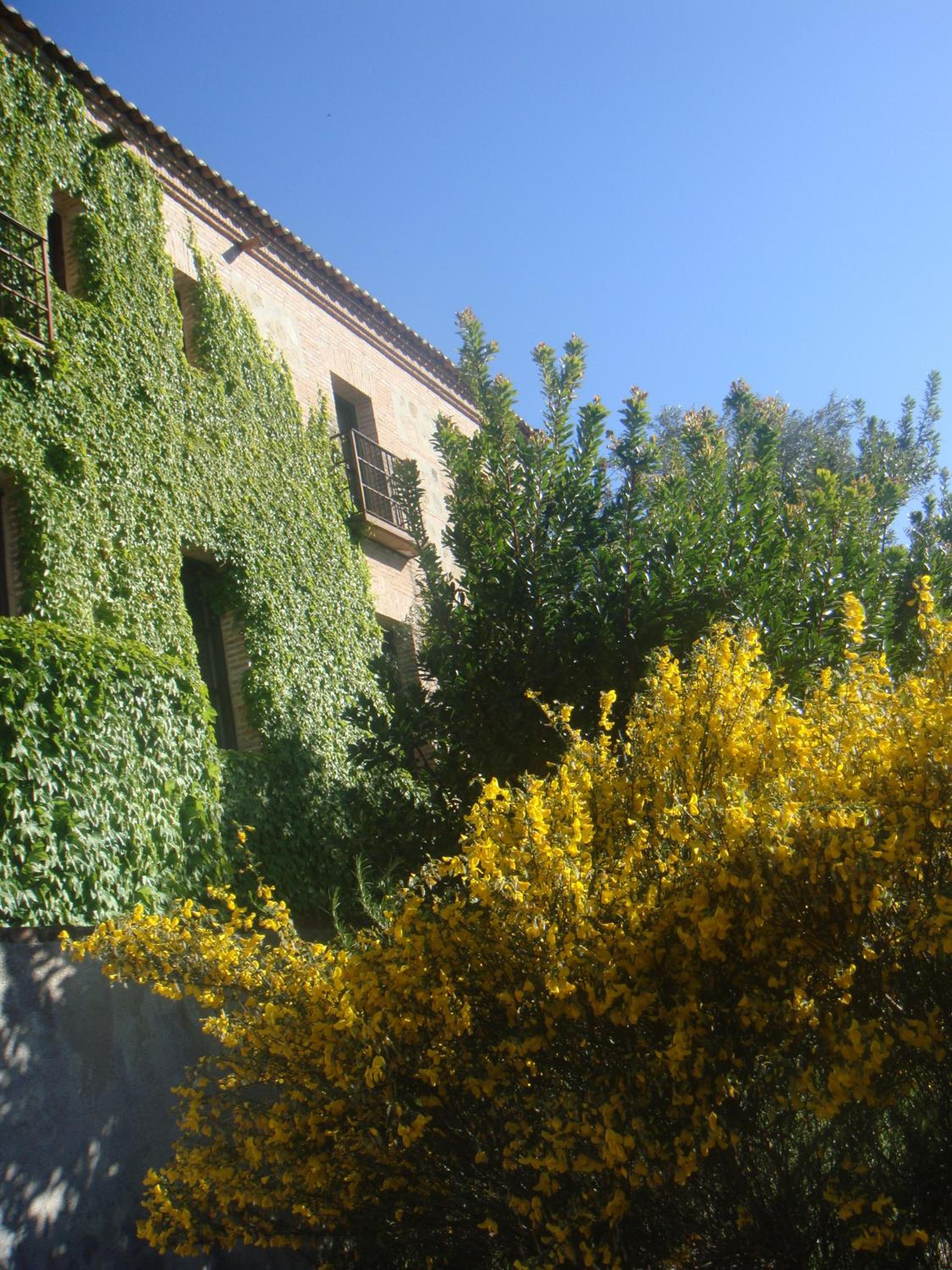 Casa Rural Rincón de la Fuente