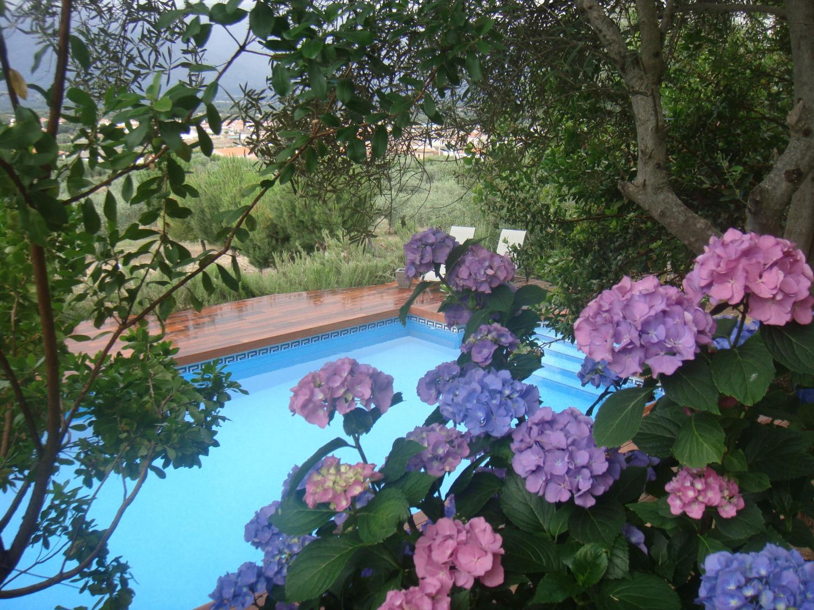 Casa Rural Rincón de la Fuente