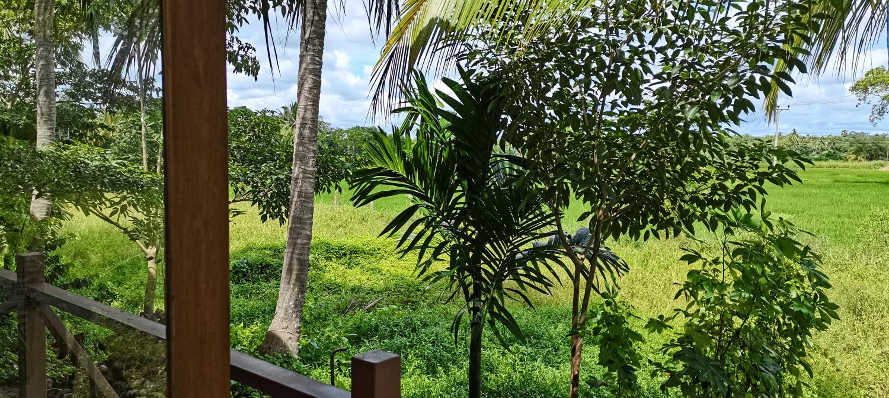 Heritance Bungalow Anuradhapura