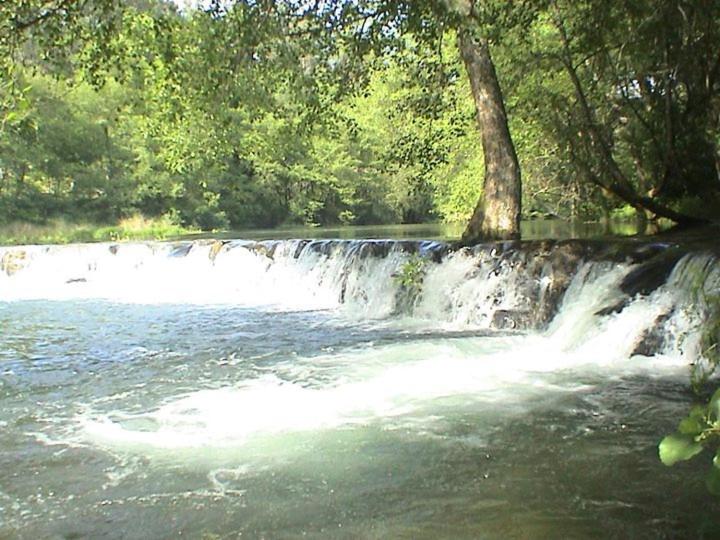 Photo 66