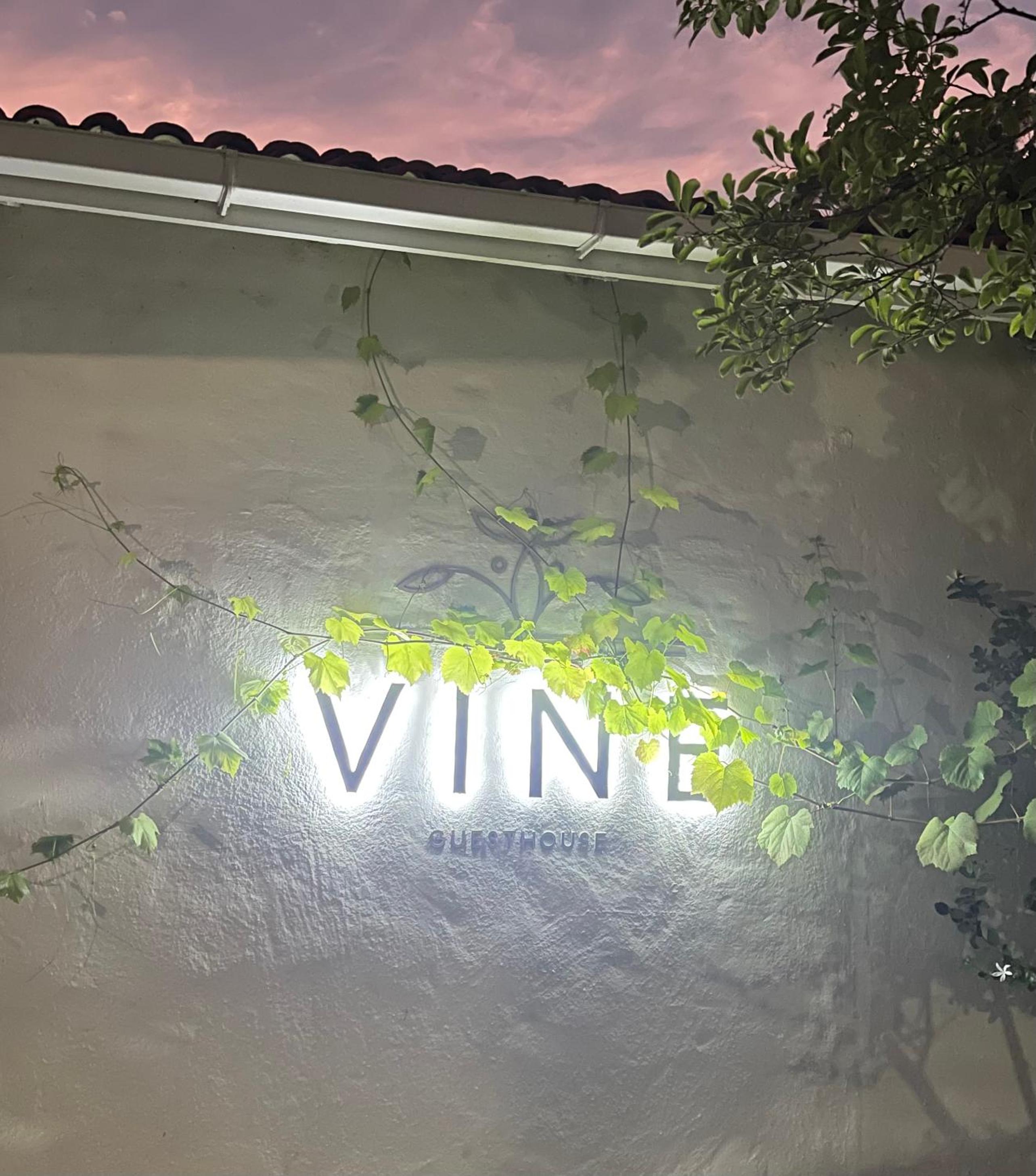 Vine Guesthouse view 5