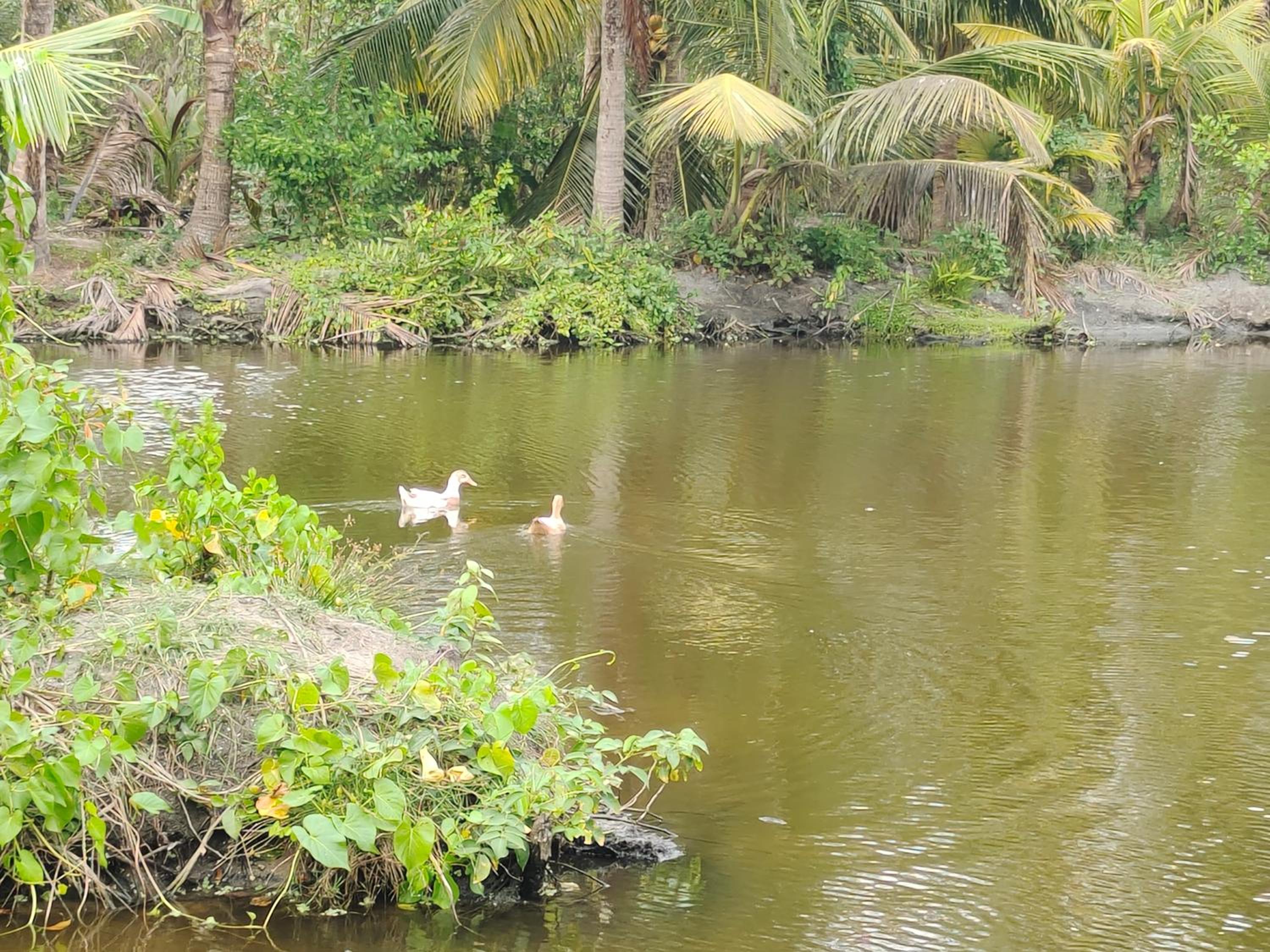 White Sands Homestay