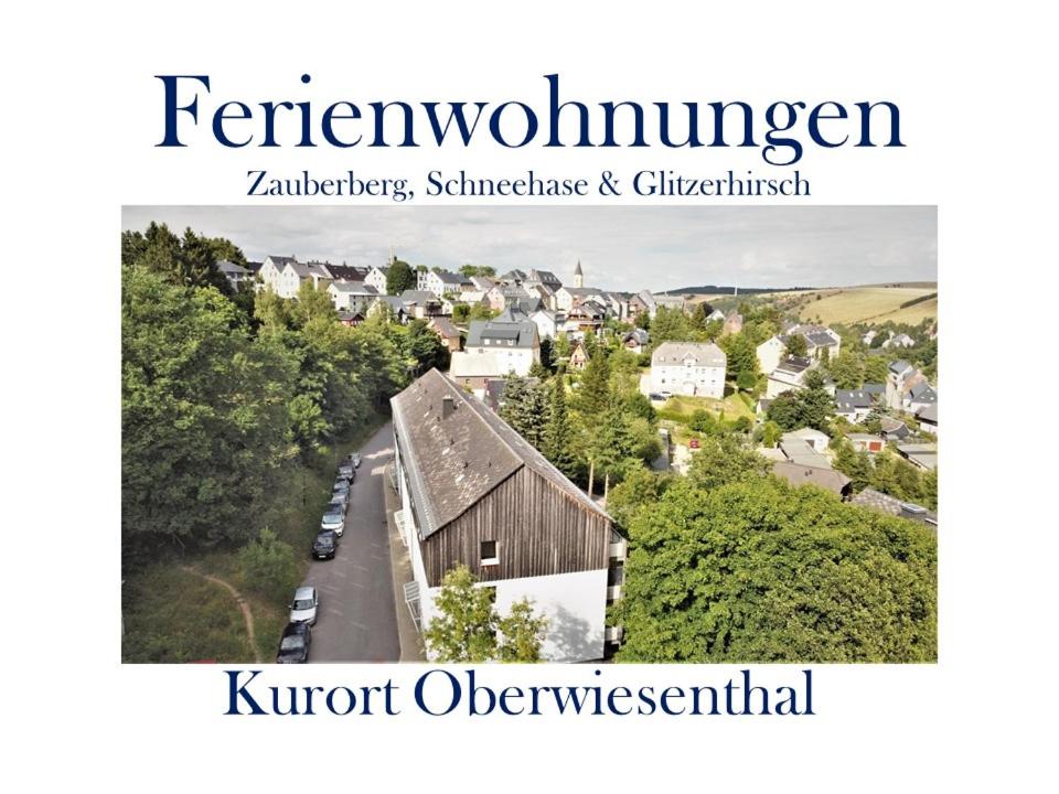 Ferienwohnungen Zauberberg, Schneehase Glitzerhirsch - Property Image 28