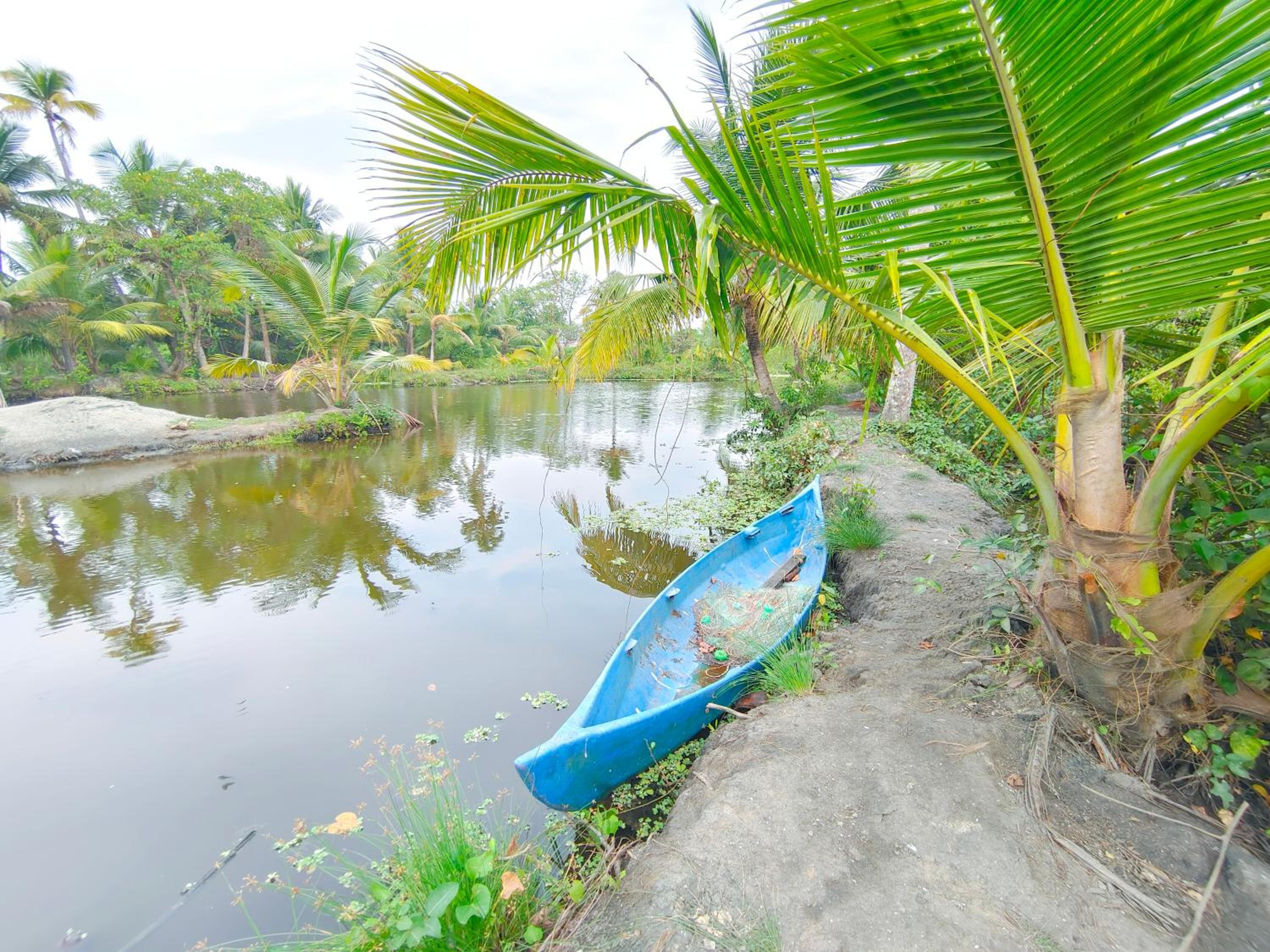 White Sands Homestay