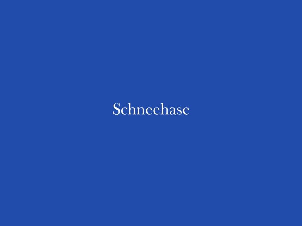 Ferienwohnungen Zauberberg, Schneehase  Glitzerhirsch - Property Image 12