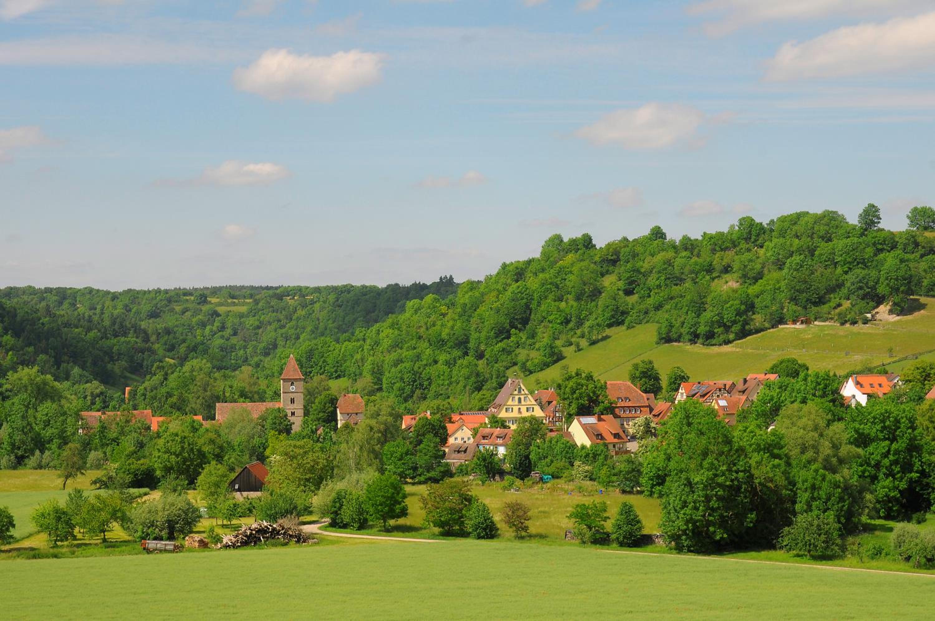 Schwarzes Lamm