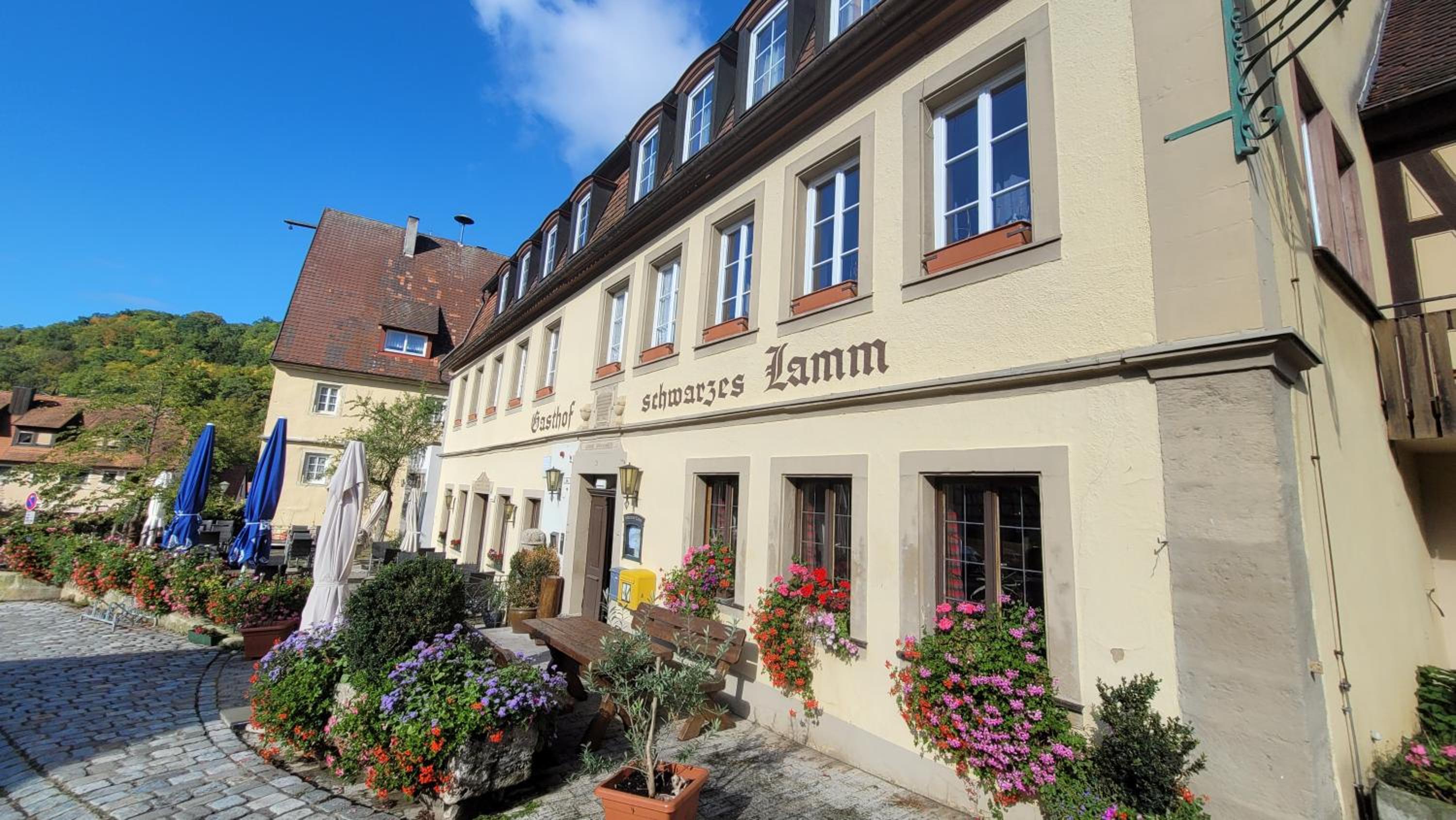Schwarzes Lamm