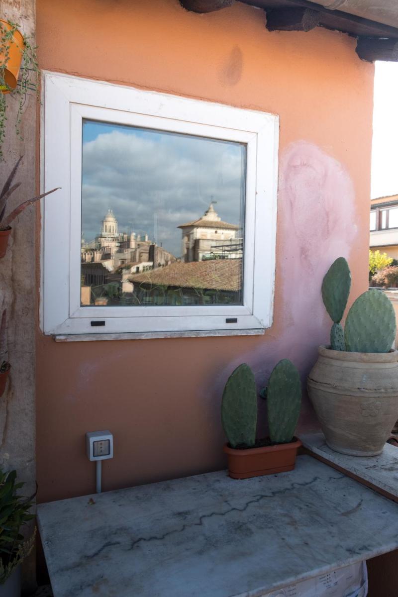 Over the roof Top photo 3