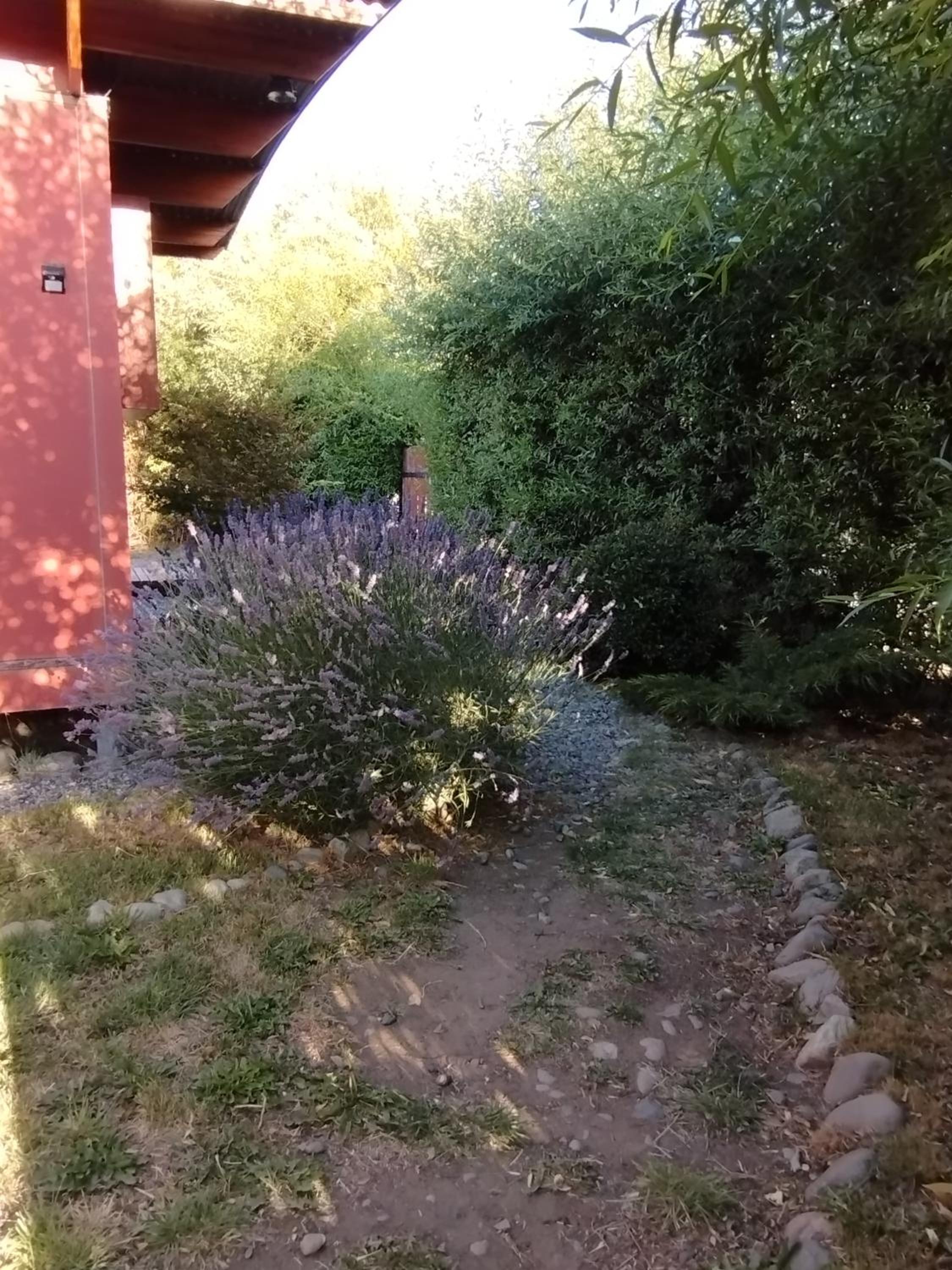 vagones de la patagonia