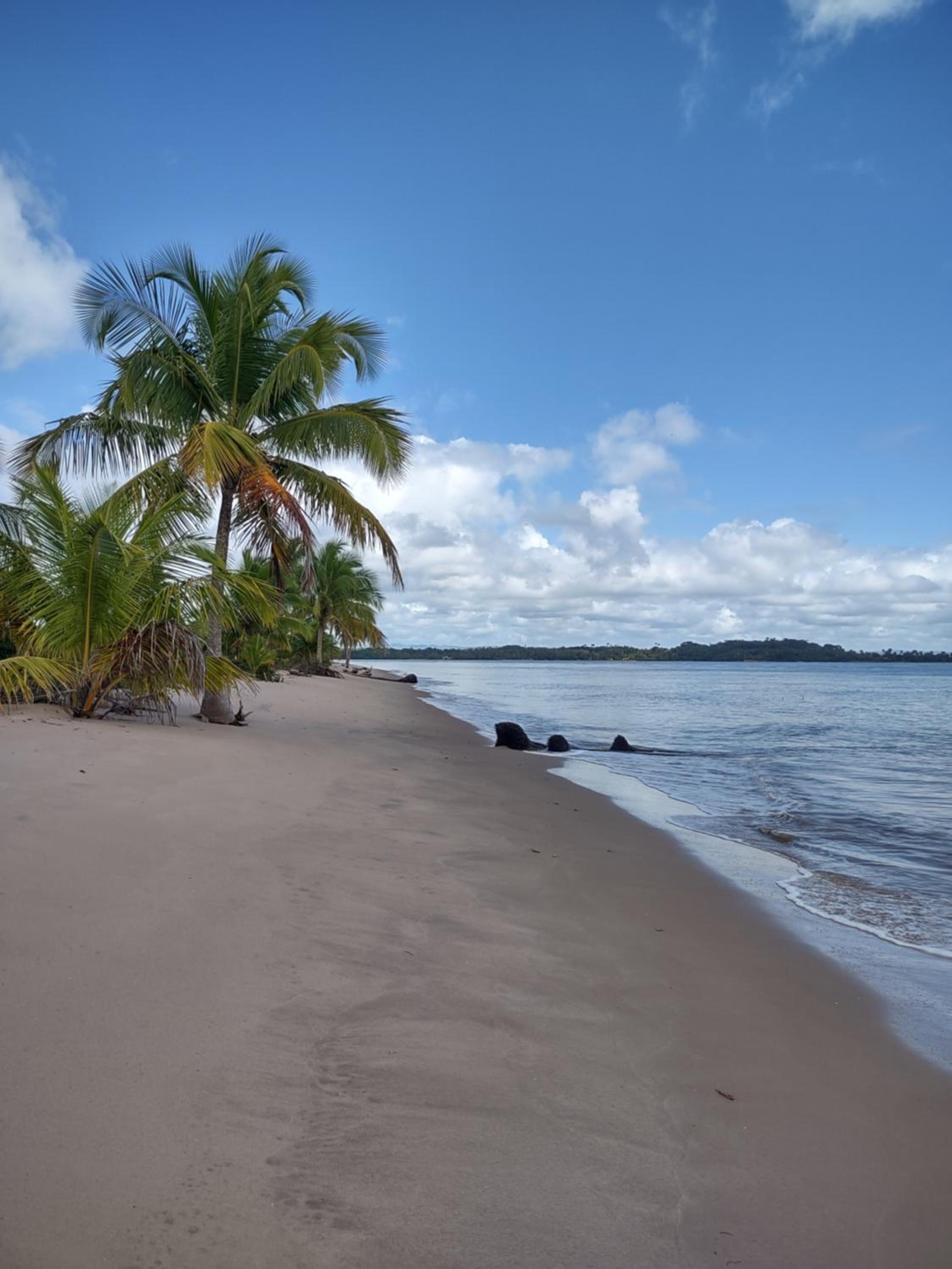 Quintal de casa suítes