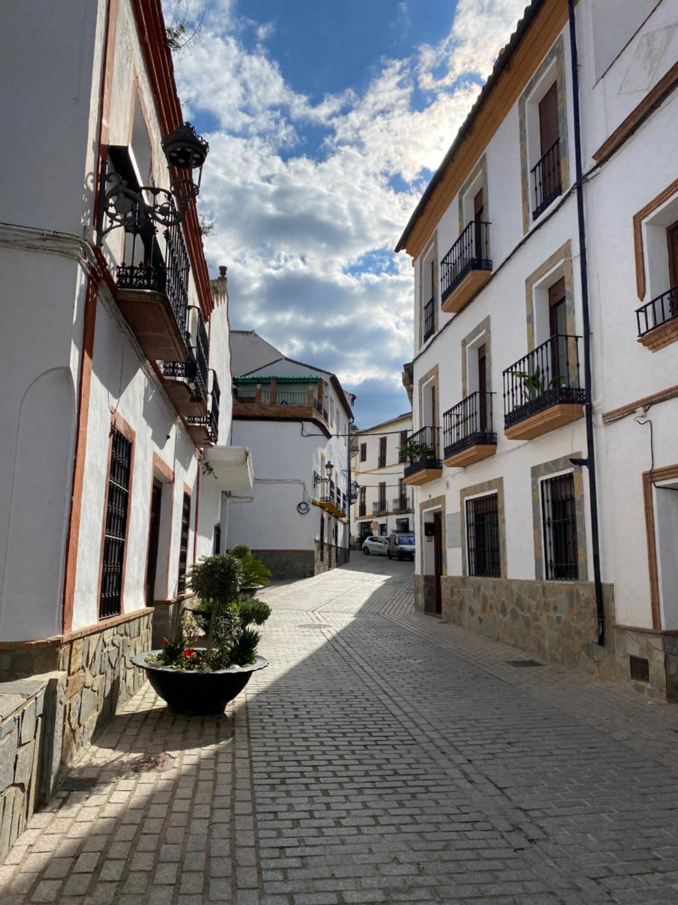 EL MIRADOR