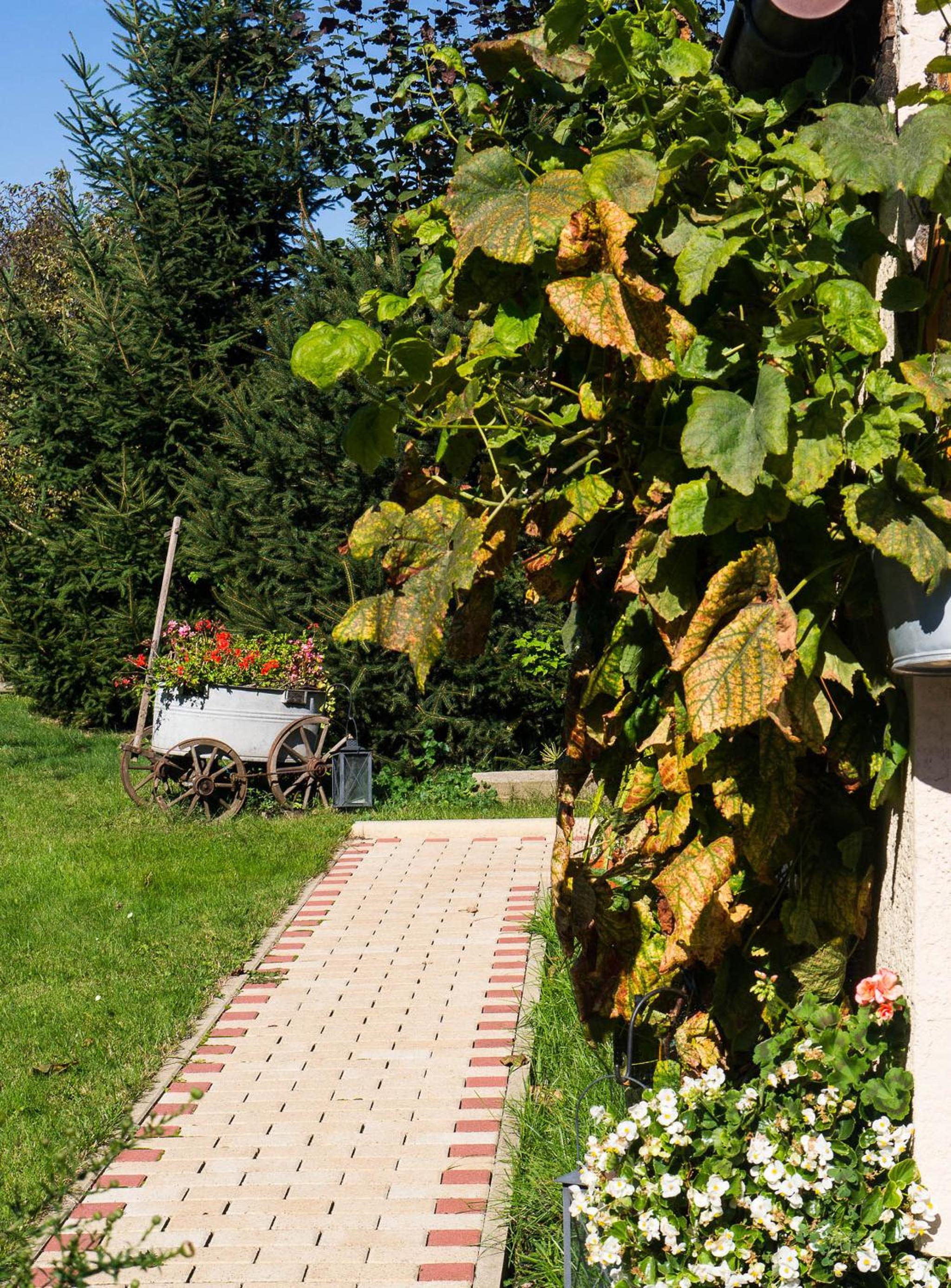 Ferienwohnung Am Elberadweg view 2