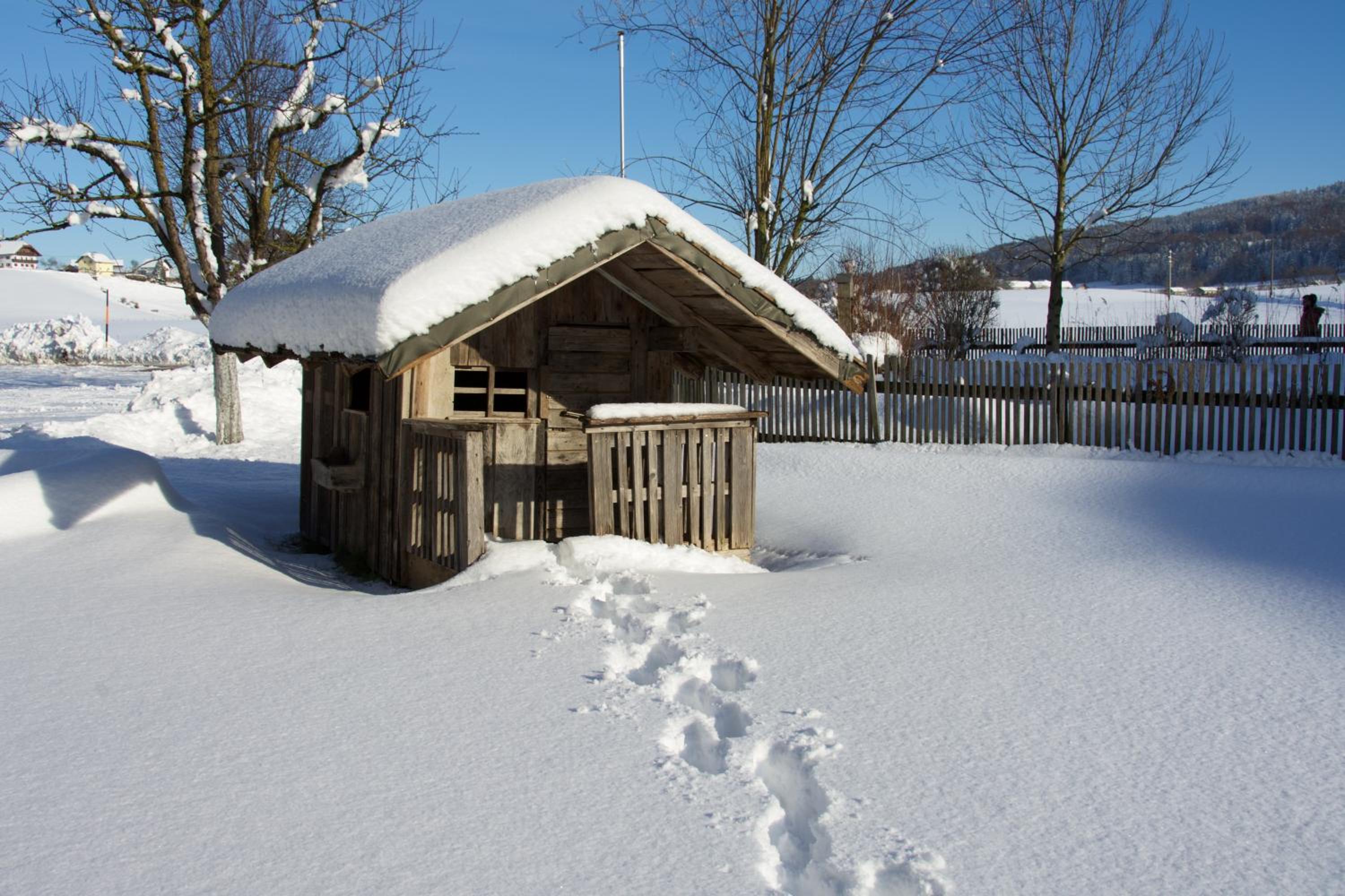 Ferienhaus Lenzenbauer