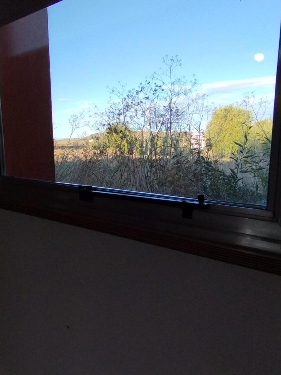 vagones de la patagonia