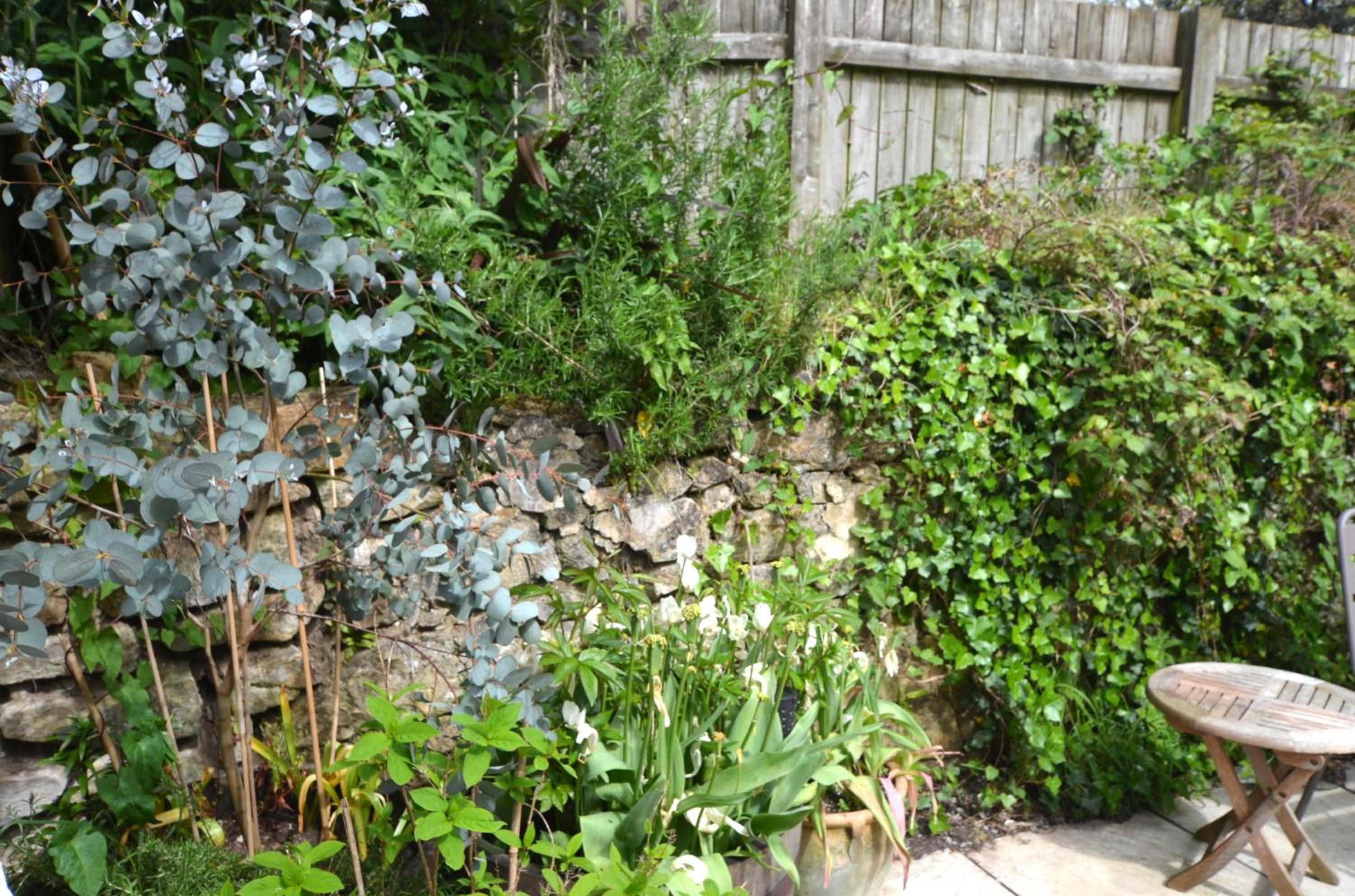 Photo 27