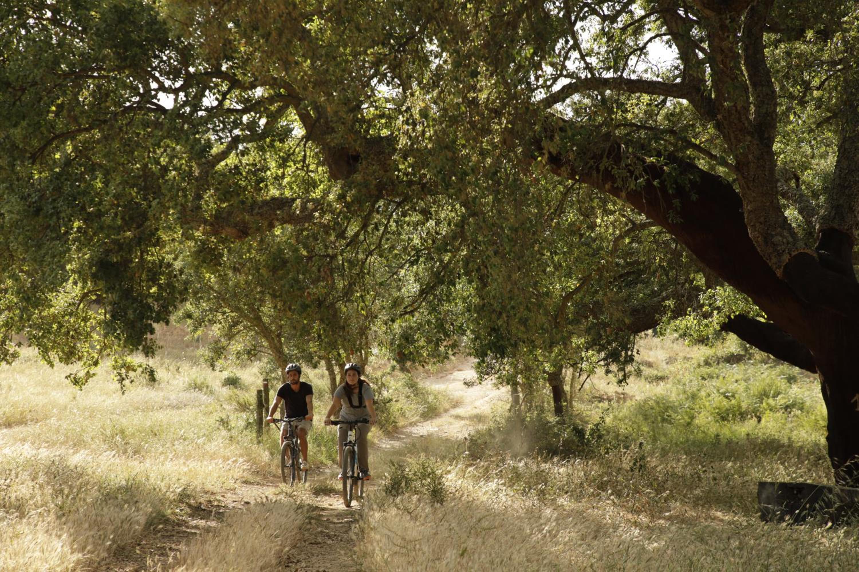 Herdade da Matinha Country House & Restaurant