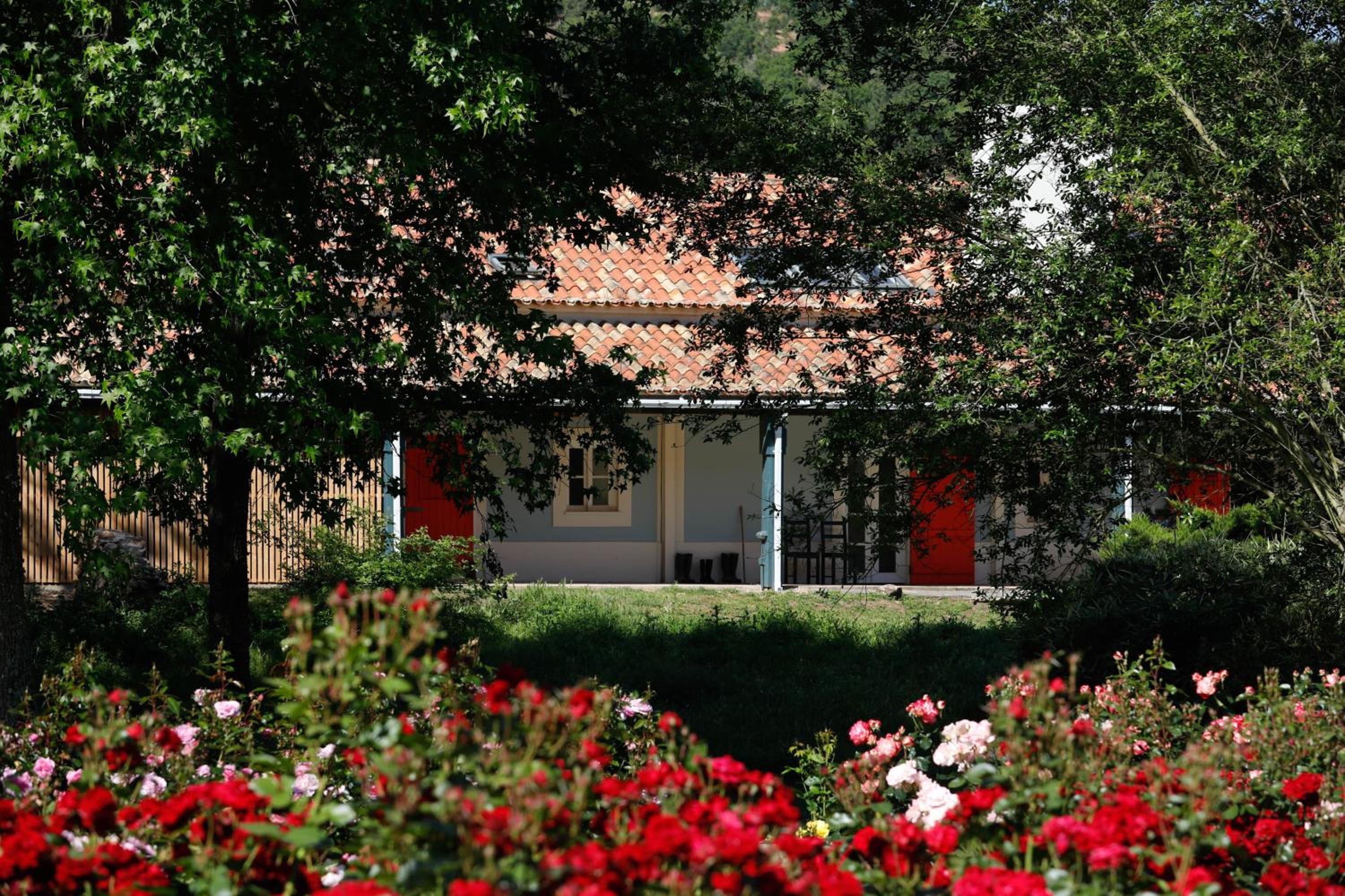 Hotel Herdade da Matinha Country House & Restaurant - Image 1