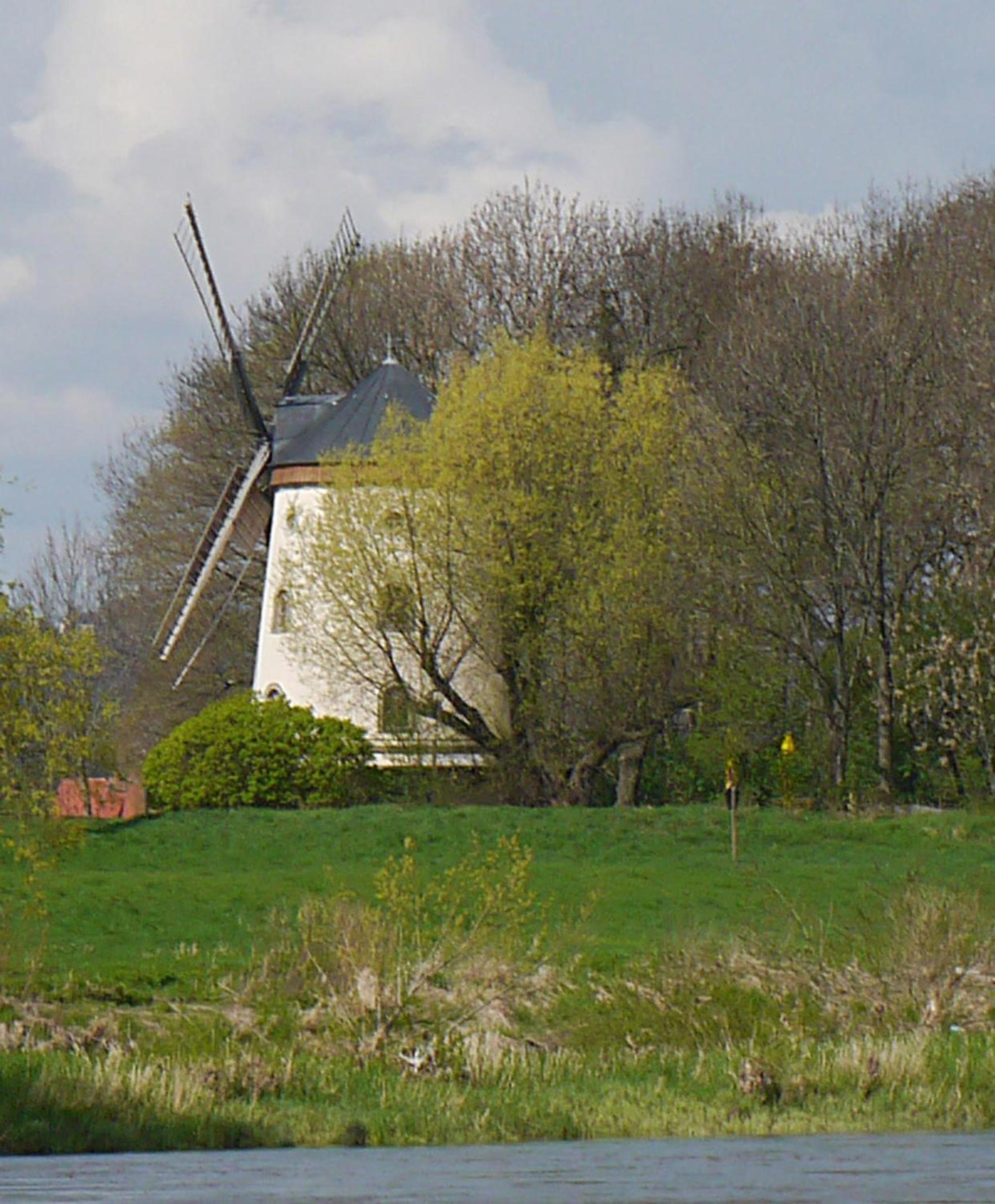 Photo 22