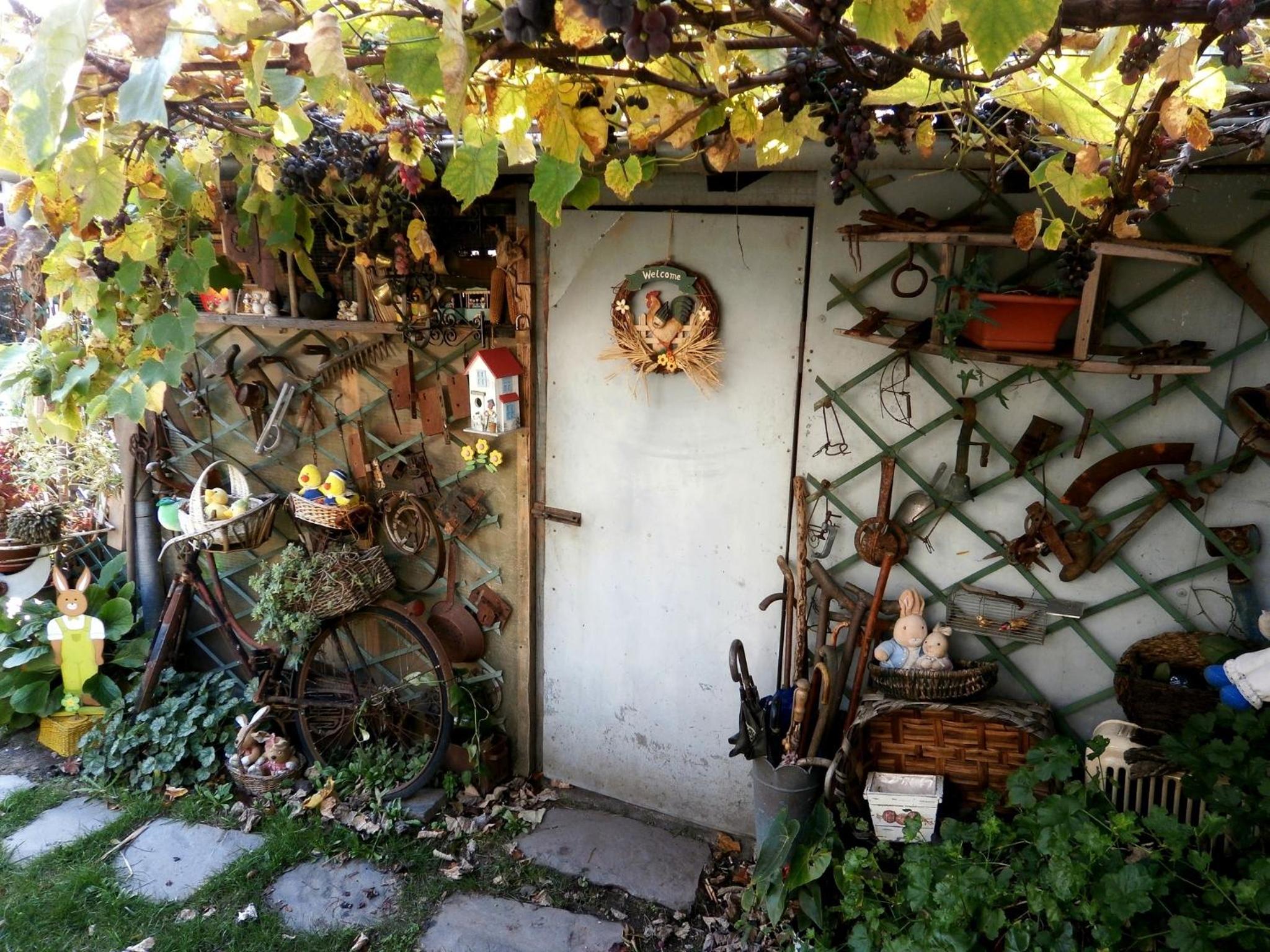 Photo 23