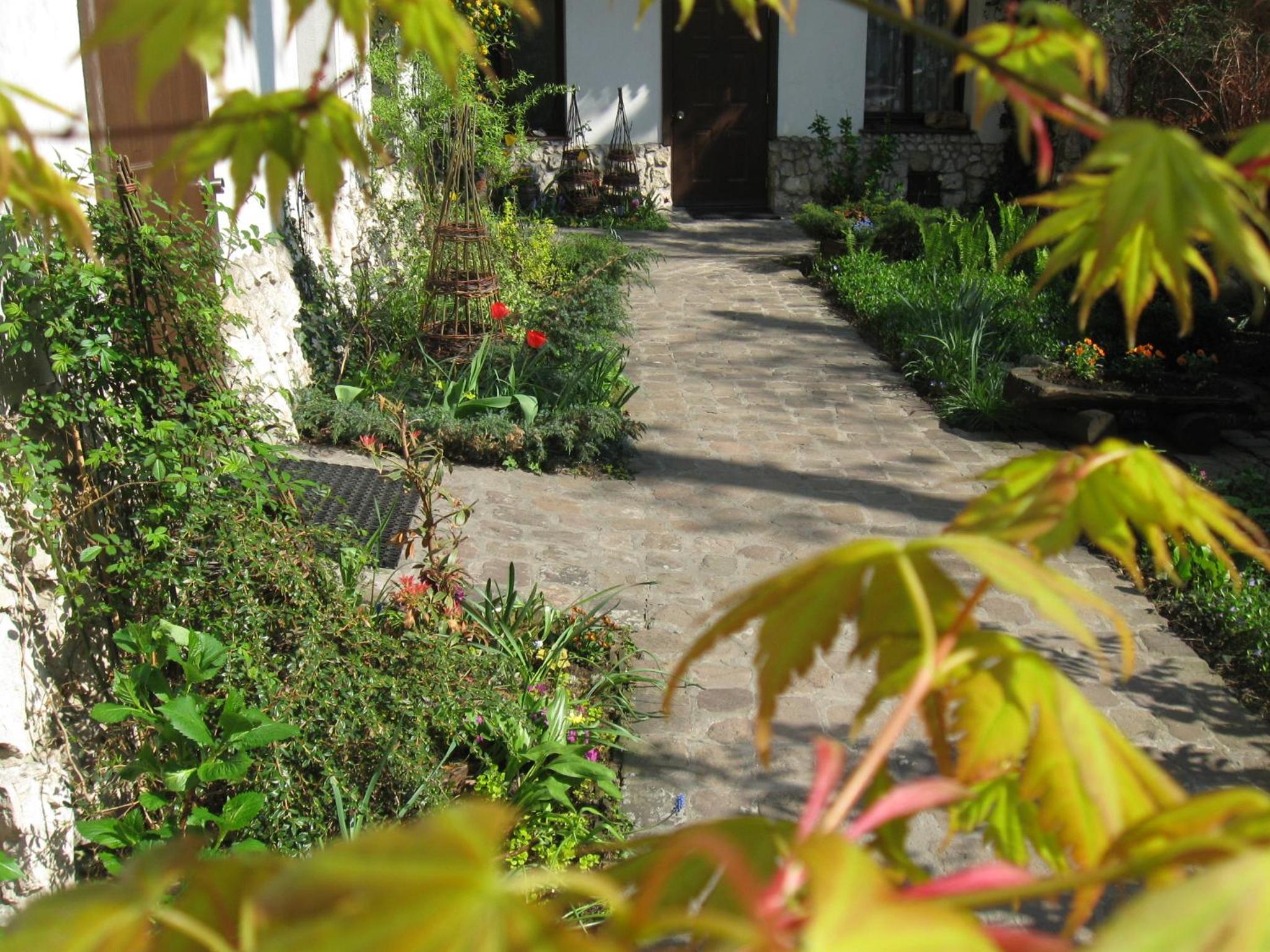Photo 45