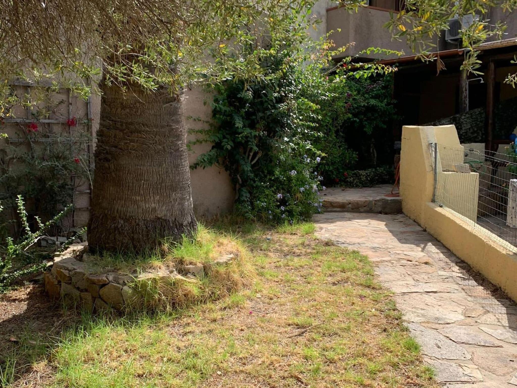 Apartment in Porto Pollo near Surf Paradise
