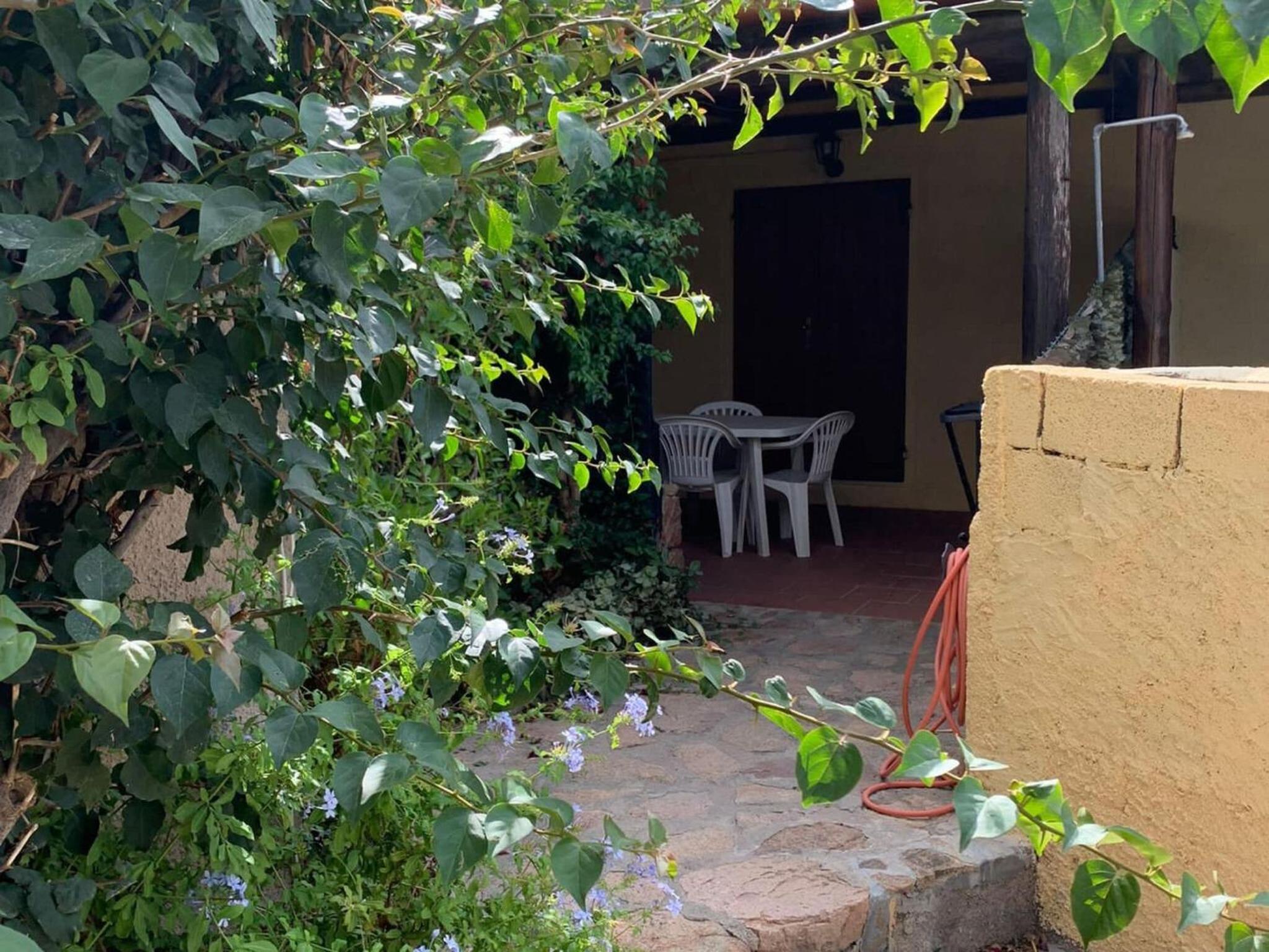 Apartment in Porto Pollo near Surf Paradise