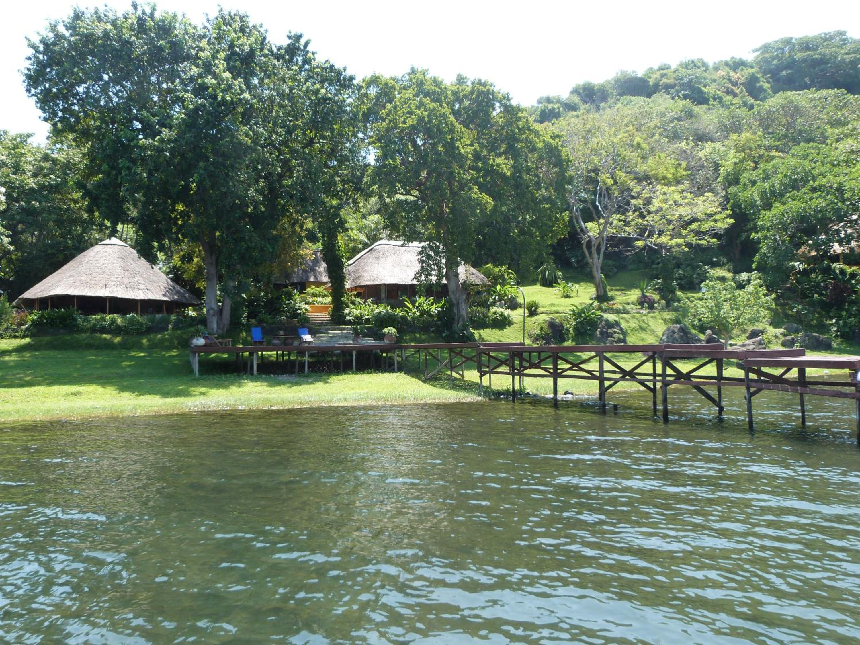 Photo 42