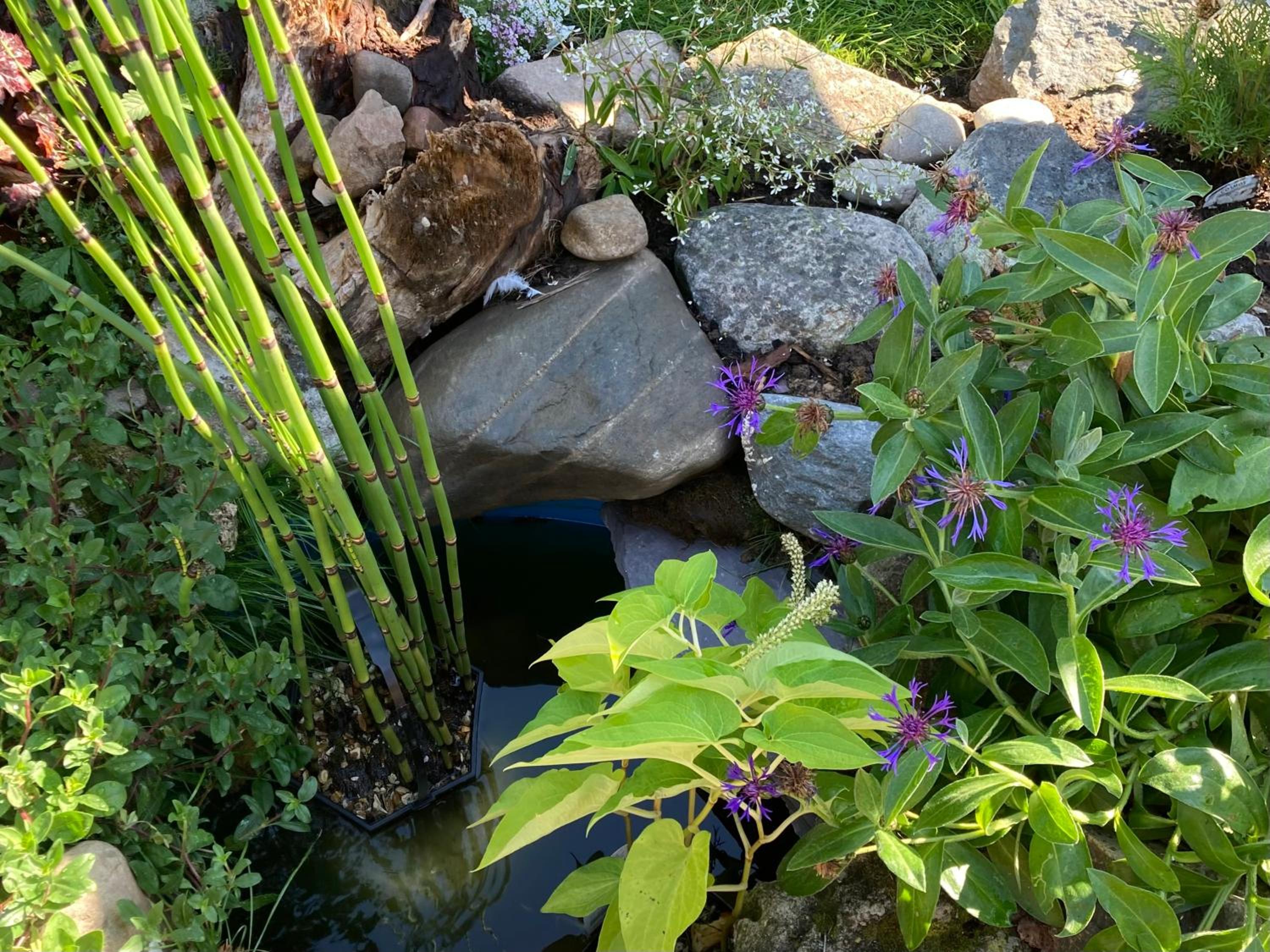 Photo 16