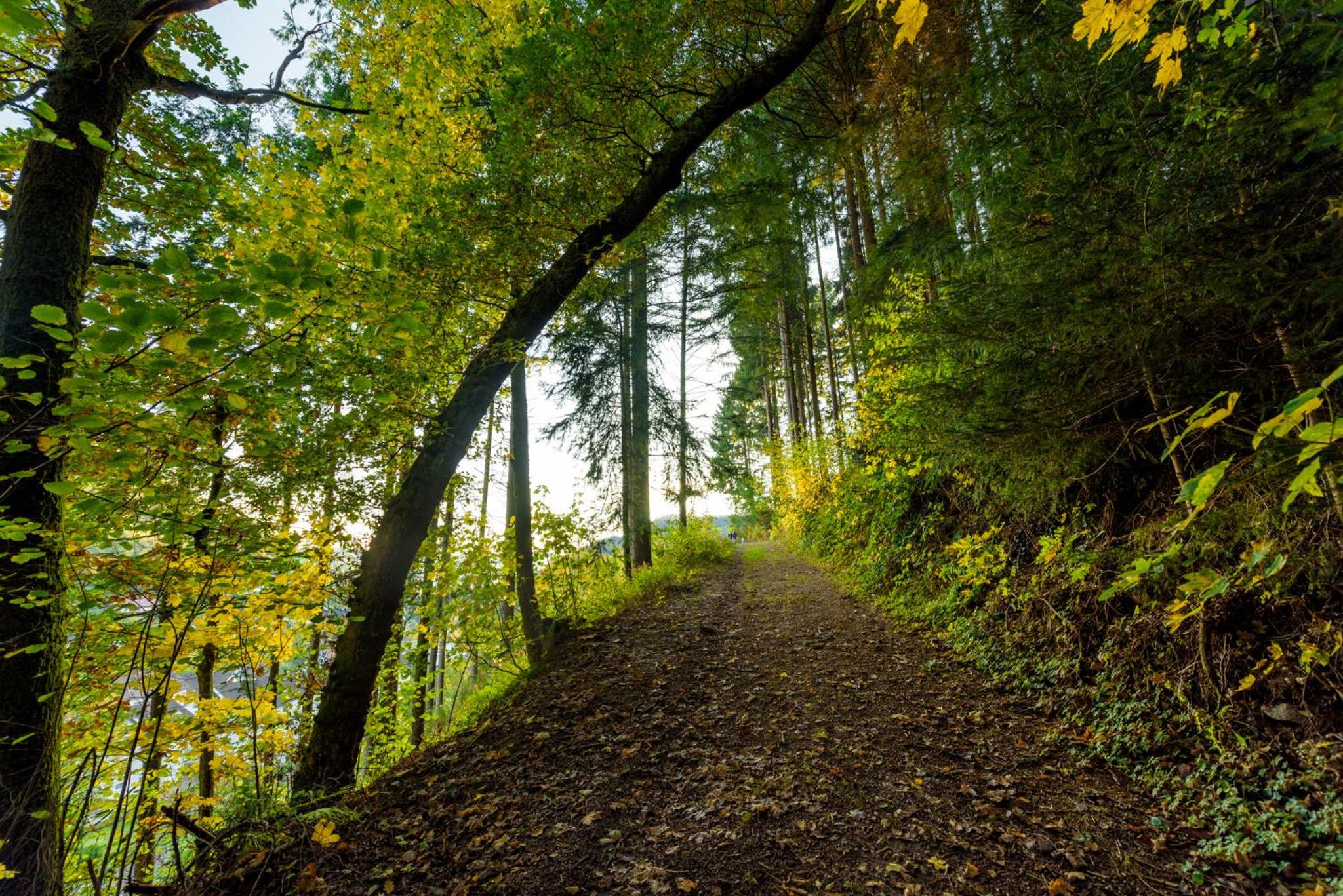 Schwarzwald Romantikhütte - Zweisamkeit - mit Bettwäsche, Handtücher und Holz