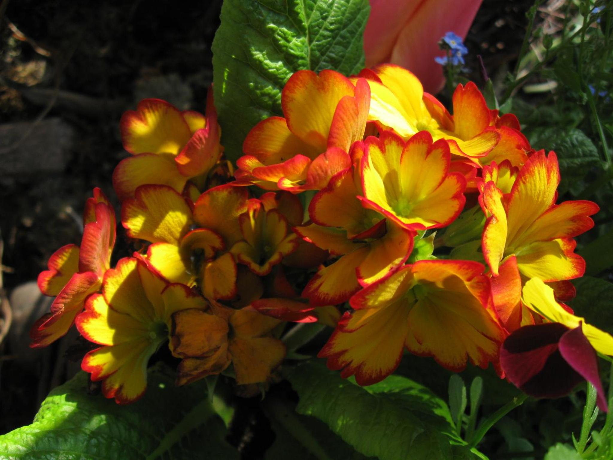Photo 63