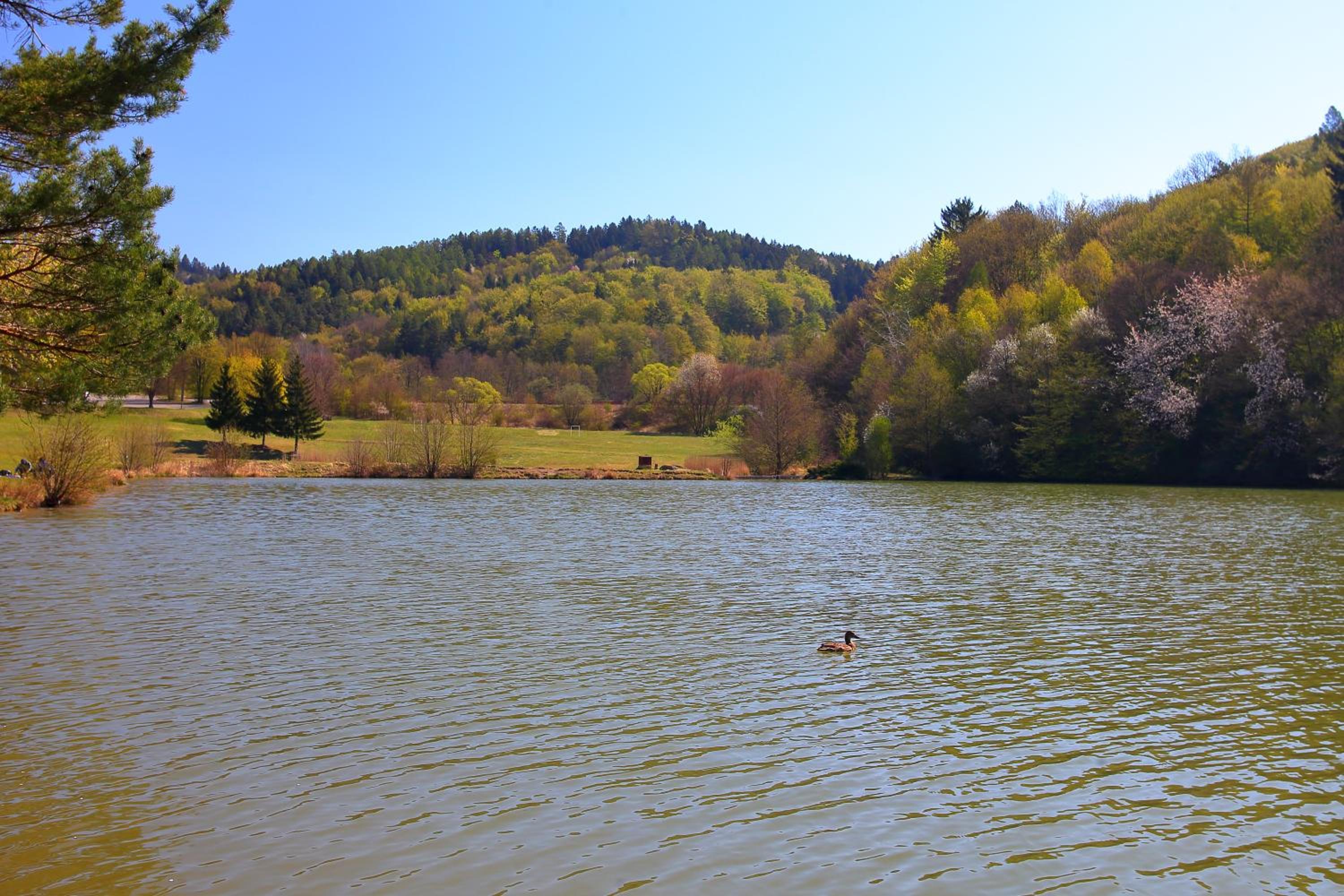 Apartmán Všemina 300