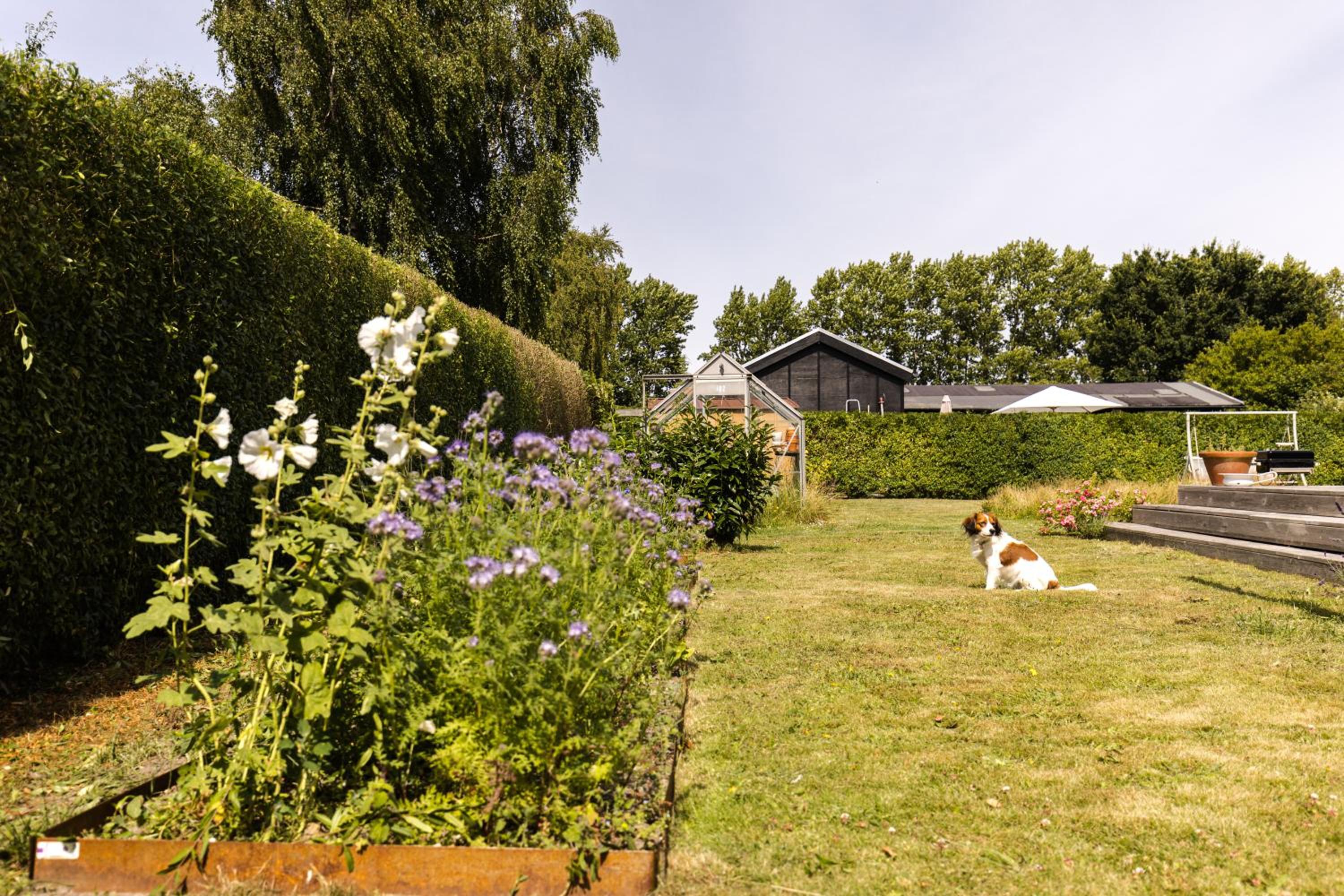 Modern and cozy cabin near Copenhagen city and airport