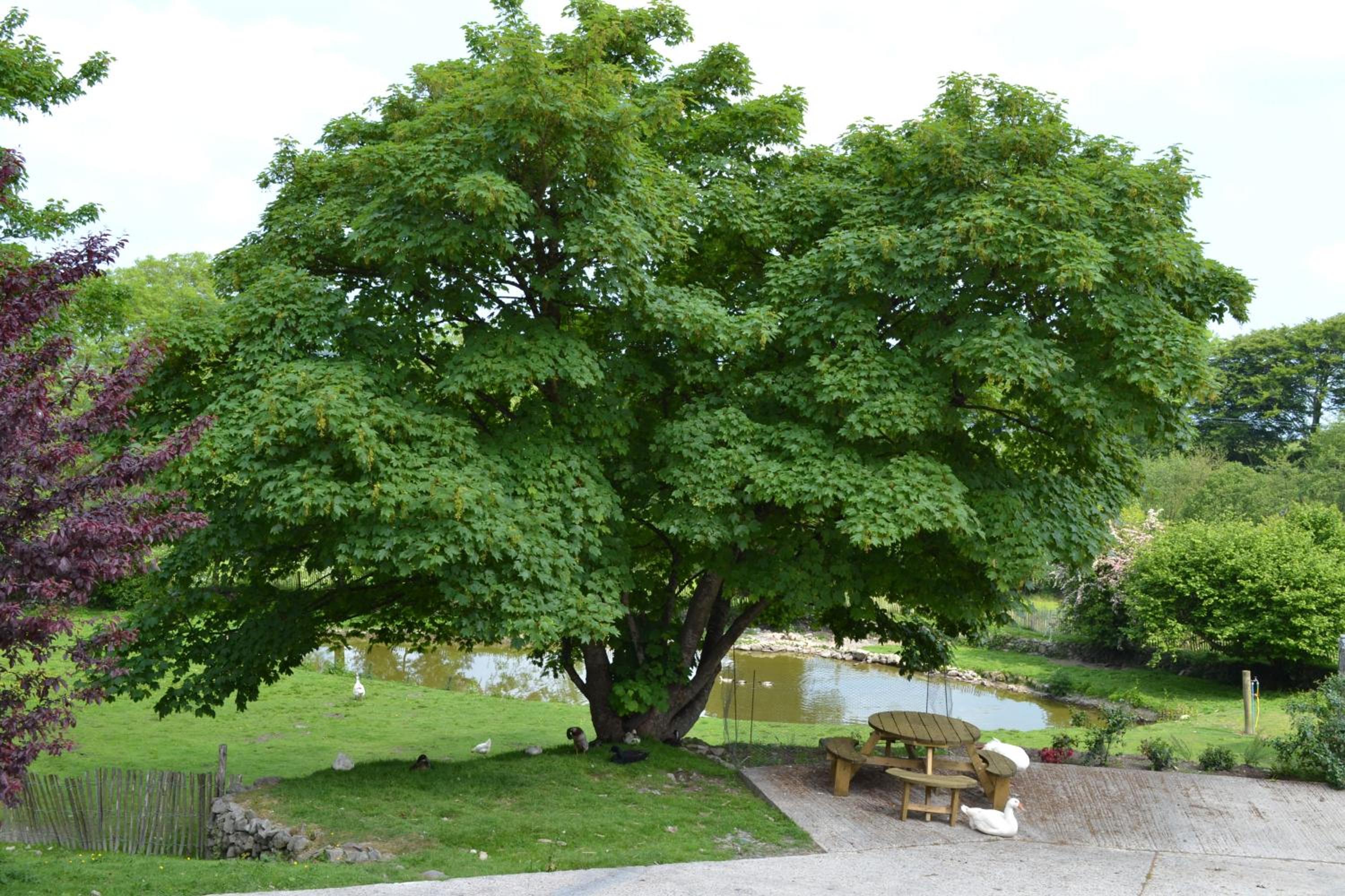 Photo 10